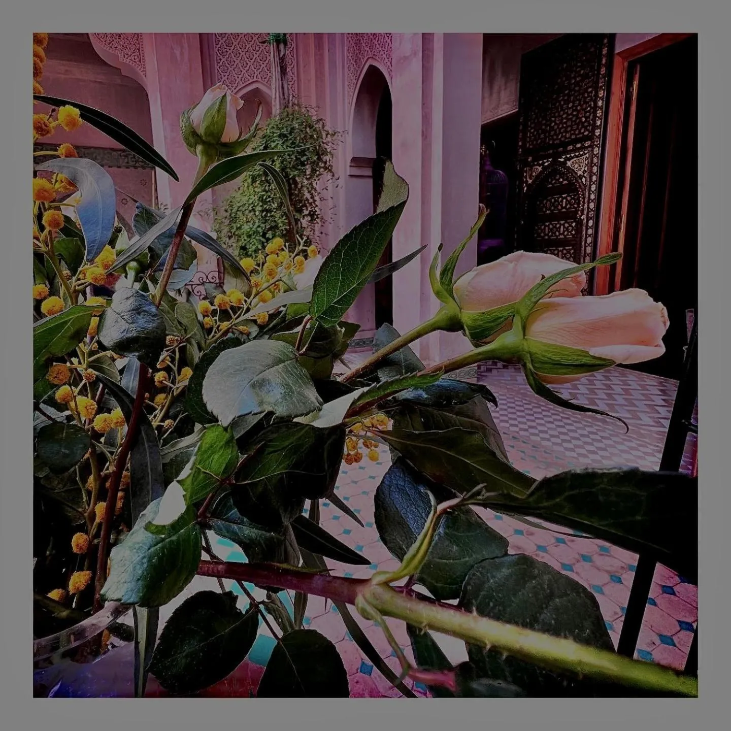 Executive Suite in Palais Nejma oriental