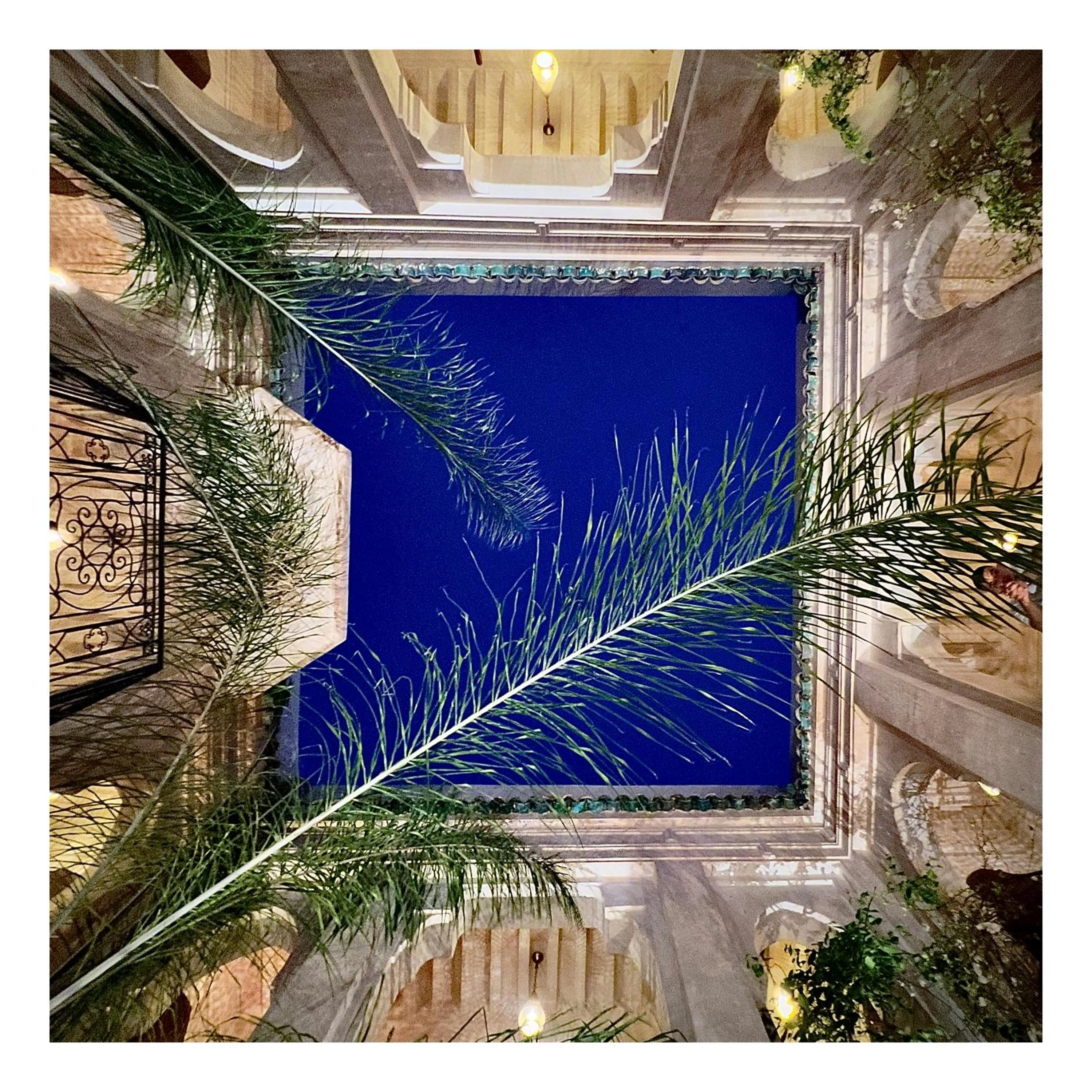 Garden in Palais Nejma oriental