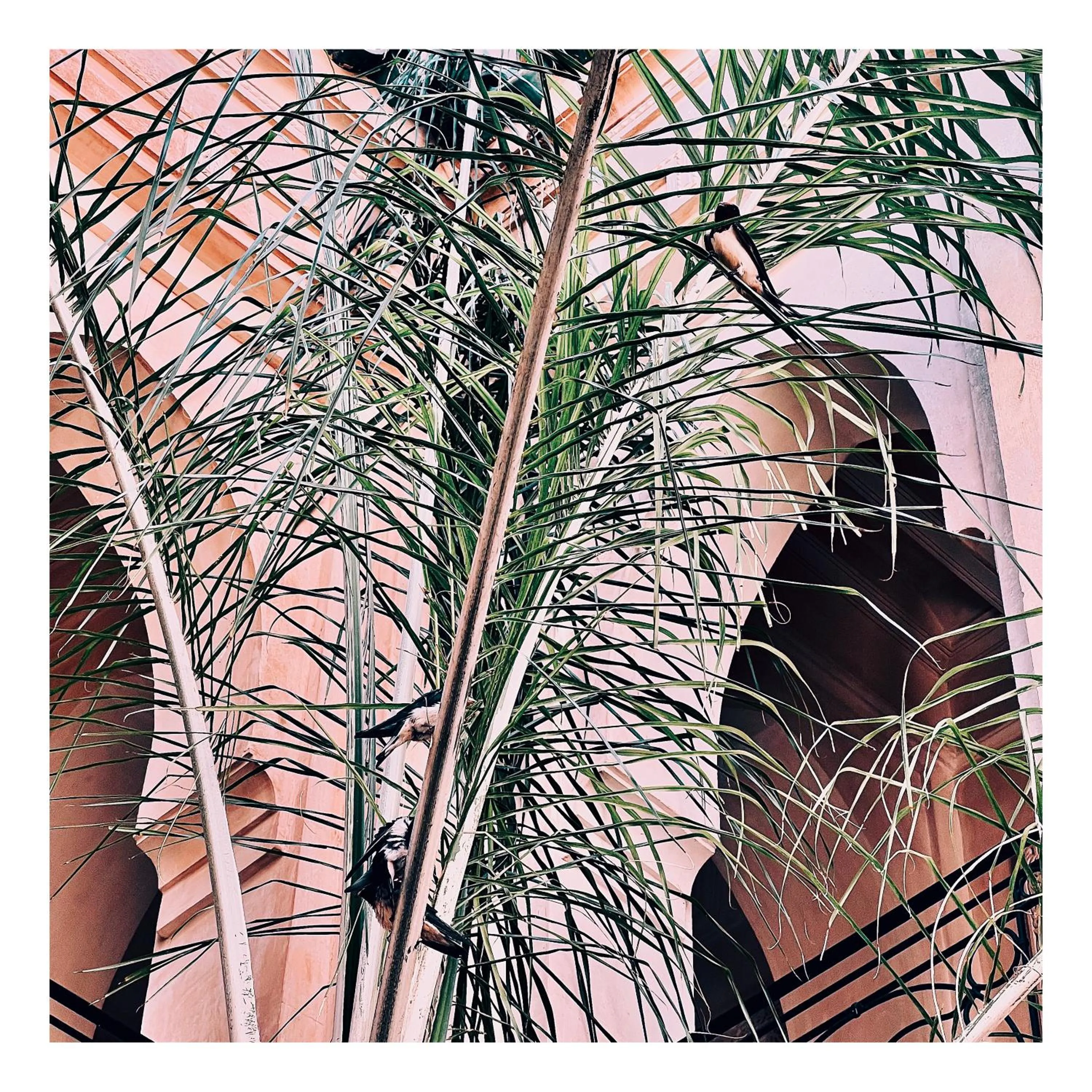 Palais Nejma oriental