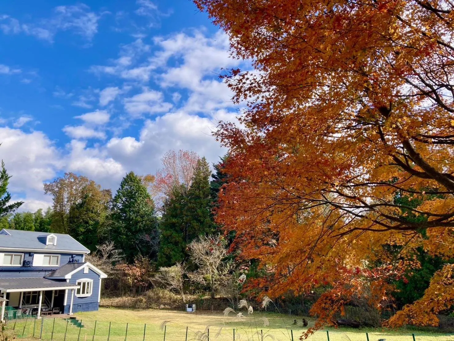 Property building in Okayama Hiruzen Villas Peter Pan