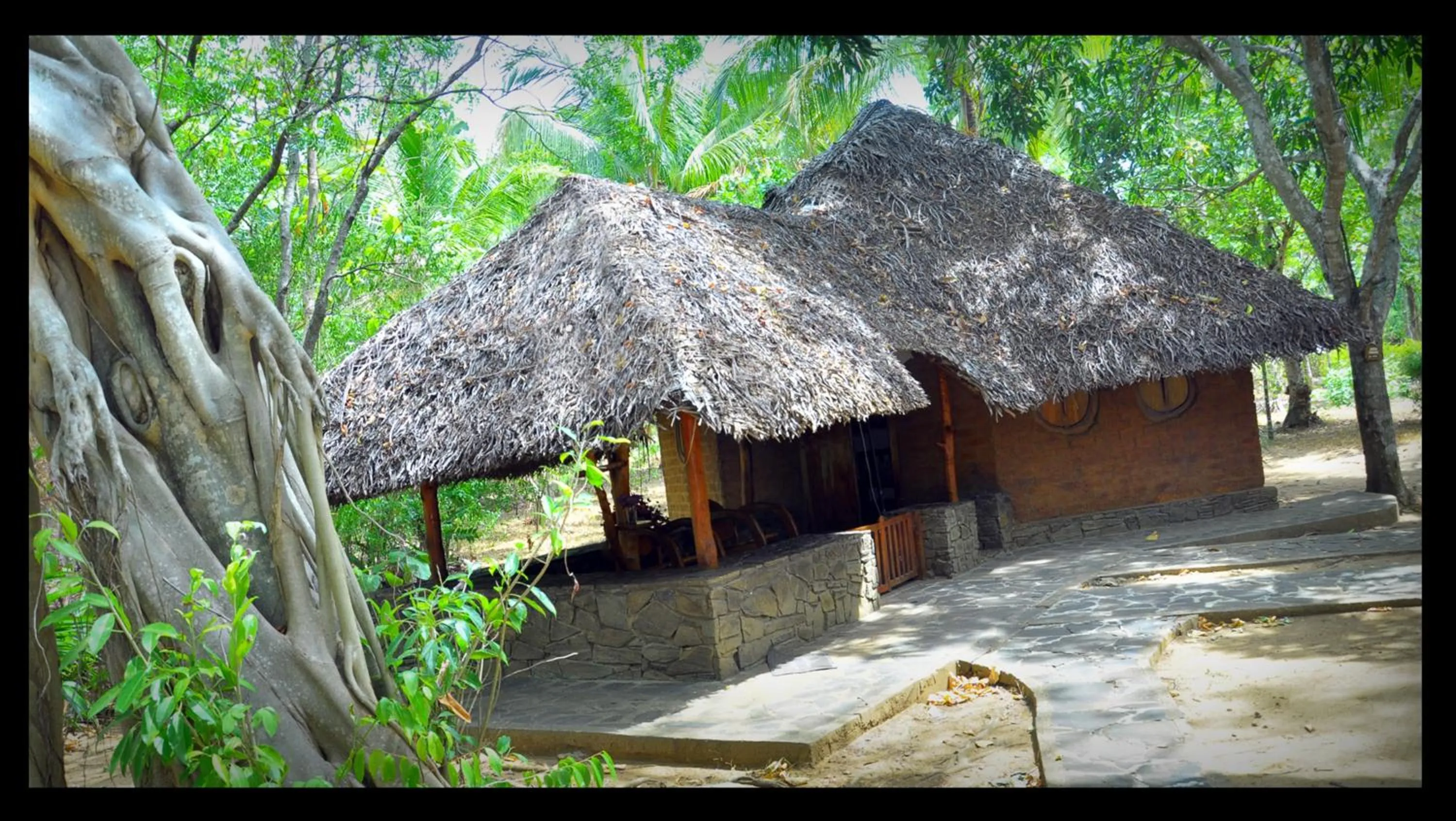 Garden view in Kottawatta Village