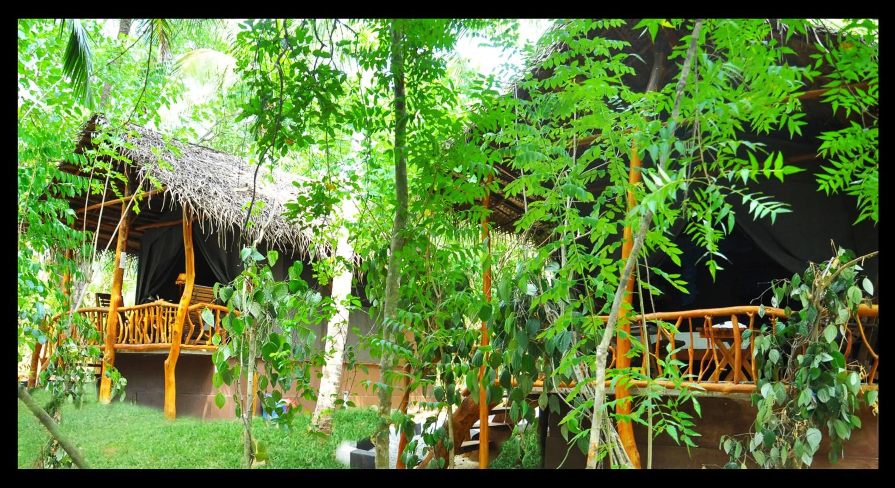 Garden in Kottawatta Village