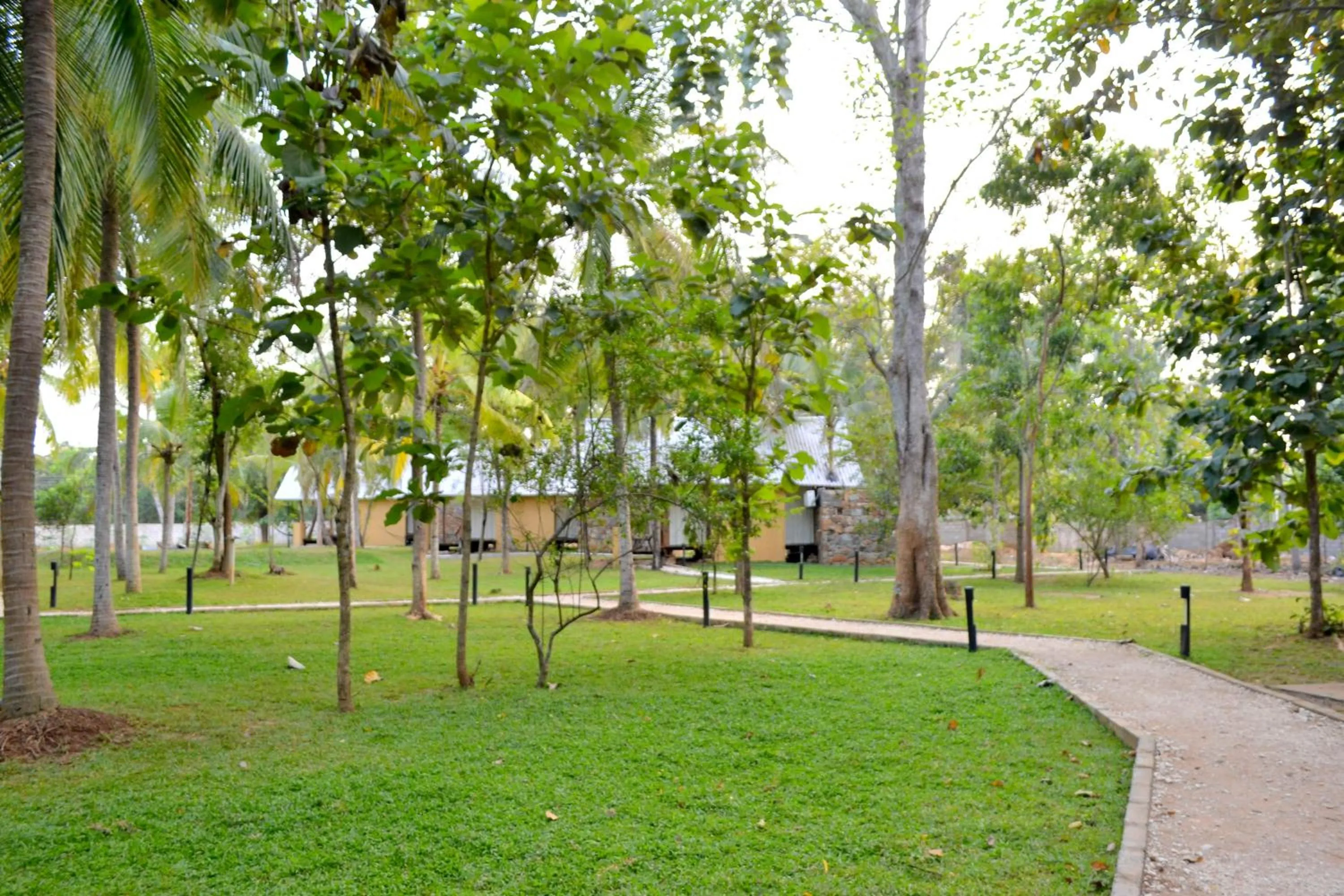 Garden in Kottawatta Village