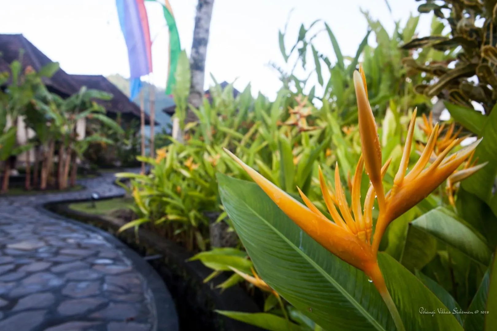 Garden in Pelangi Villas Sidemen by AGATA