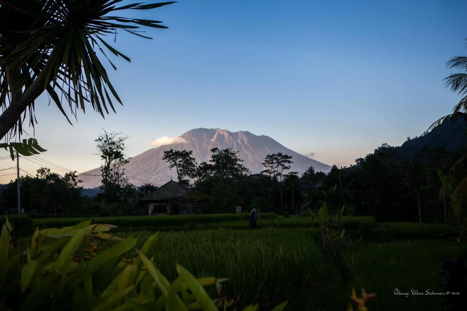 View (from property/room) in Pelangi Villas Sidemen by AGATA
