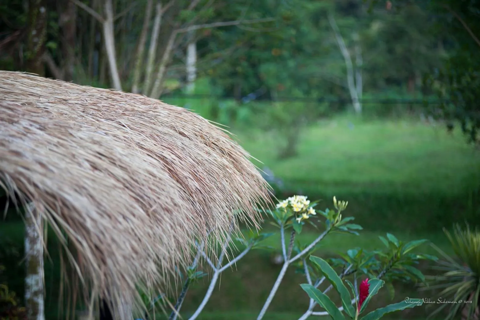 Other in Pelangi Villas Sidemen by AGATA