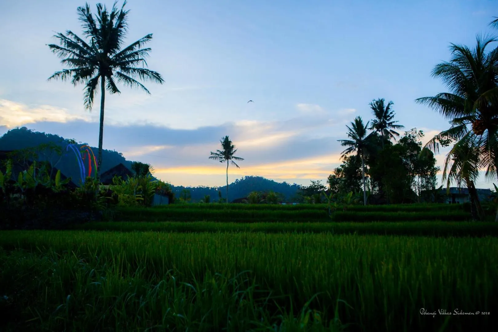 Natural landscape in Pelangi Villas Sidemen by AGATA