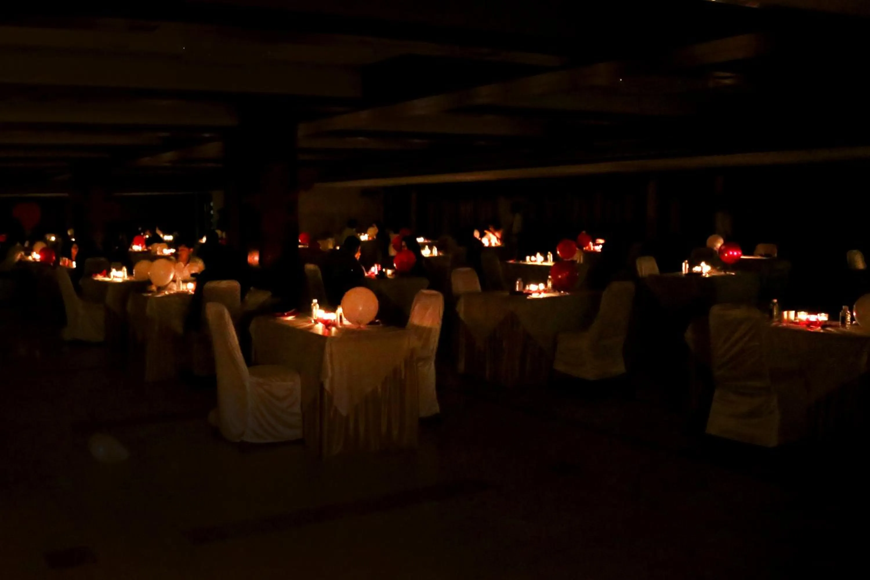 Banquet/Function facilities in Hotel Platinum Residency