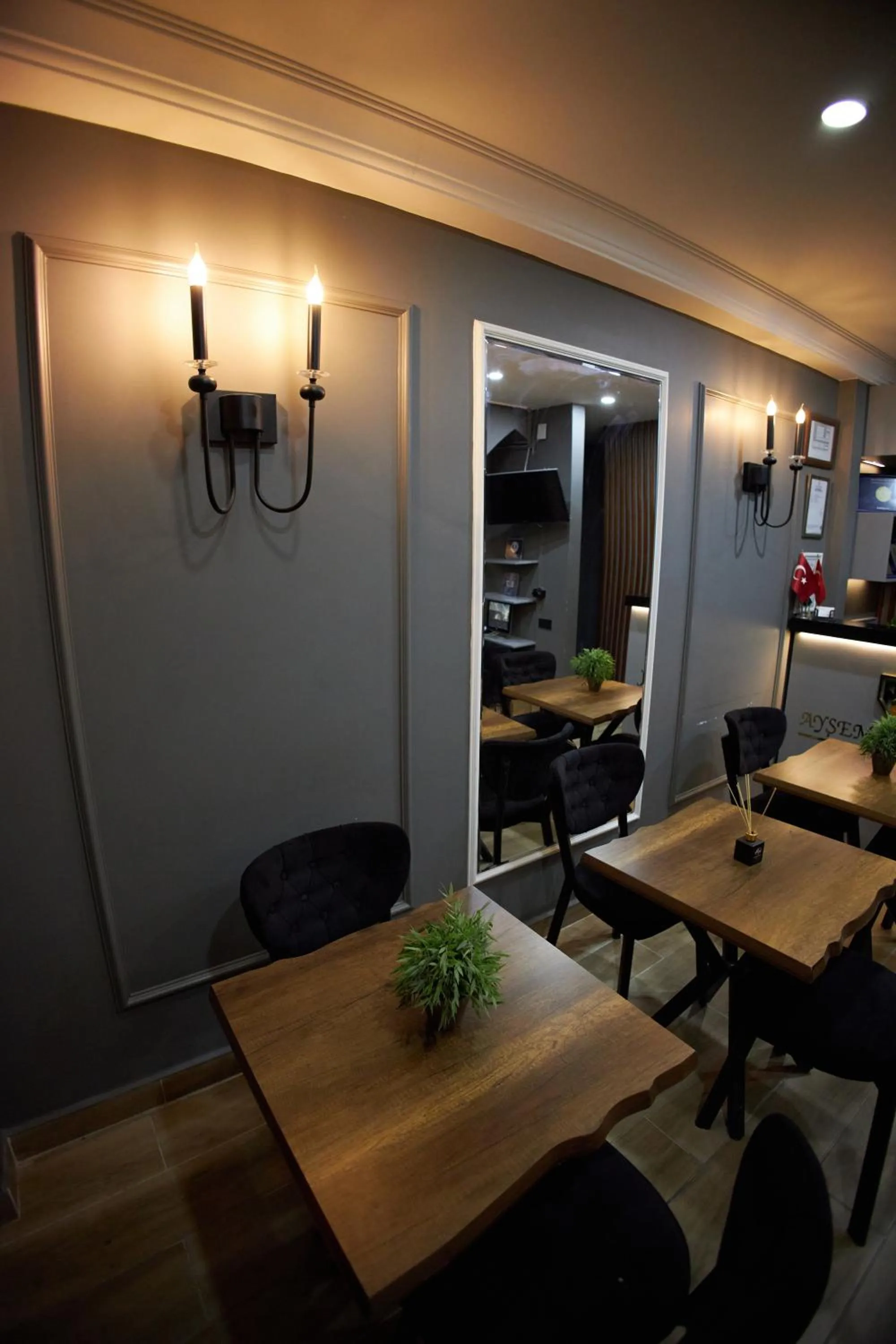 TV and multimedia in Ortakoy Aysem Sultan Hotel