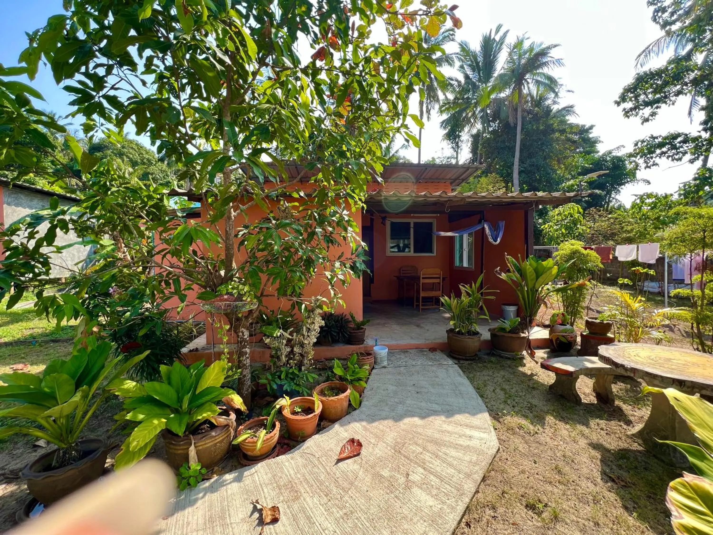Garden view in Pim Bungalow