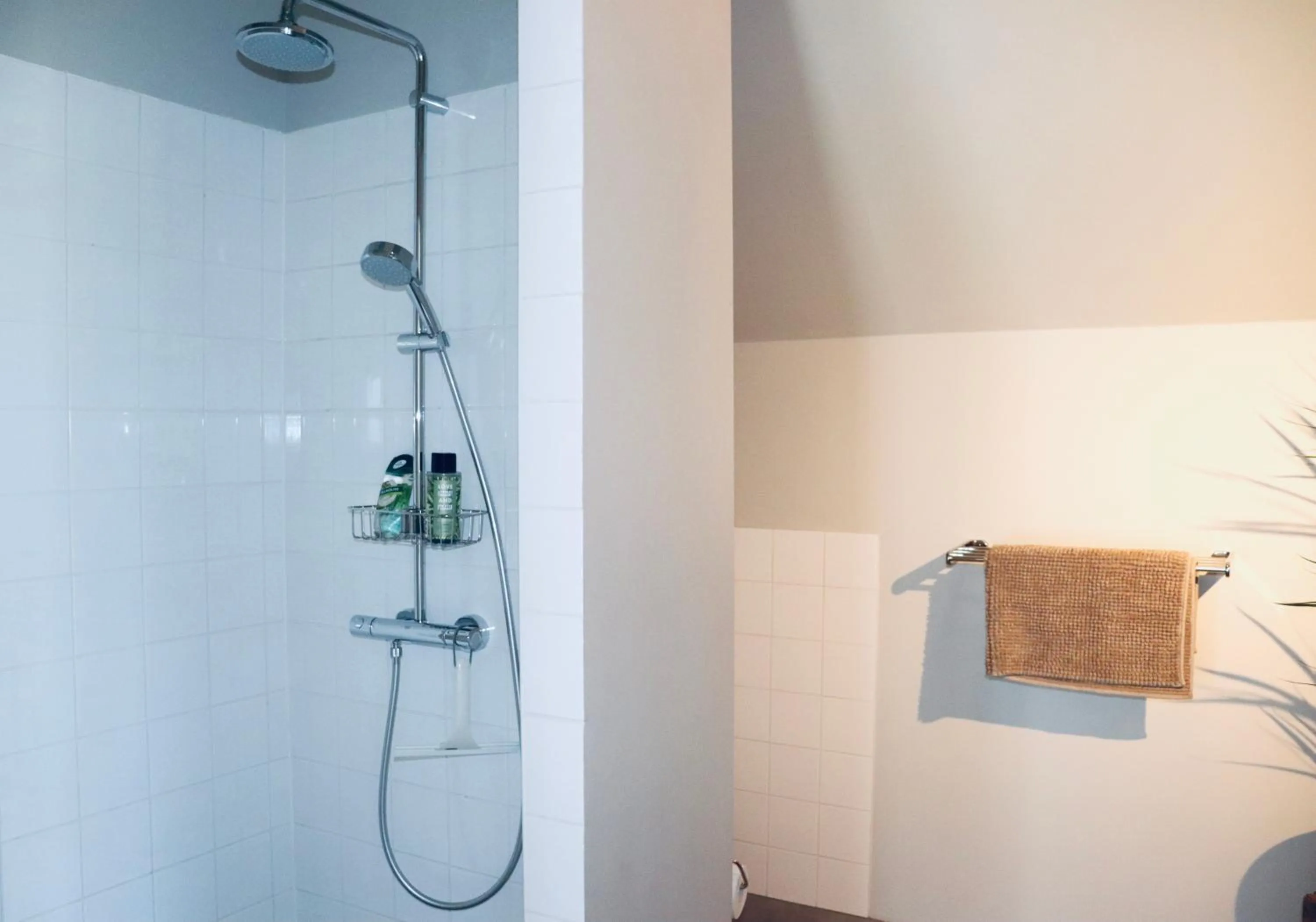 Bathroom in Het Wijdeland