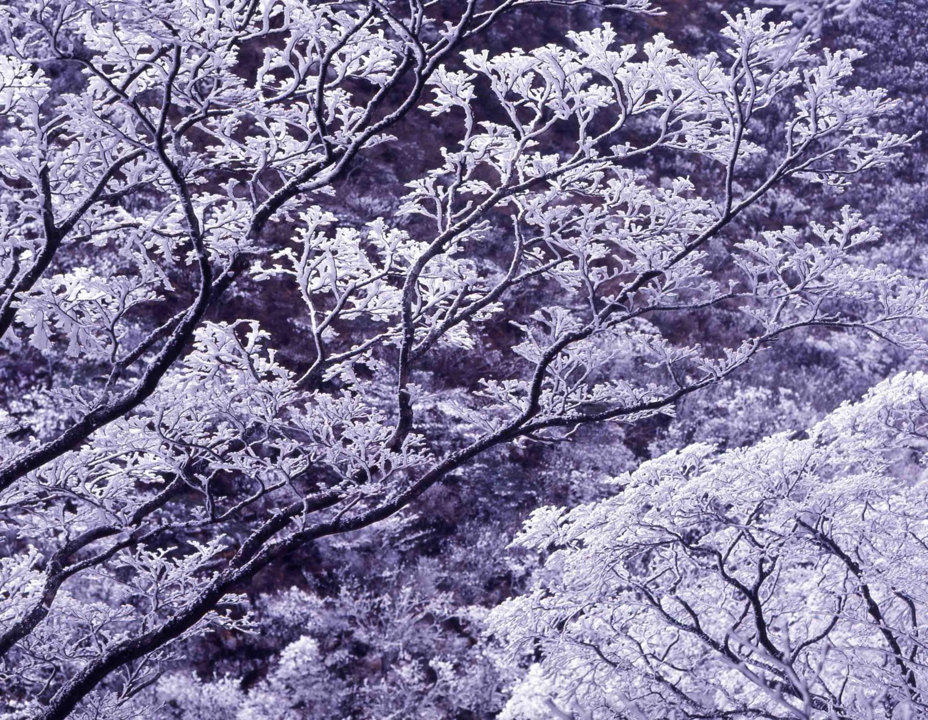 Winter in Unzen Sky Hotel