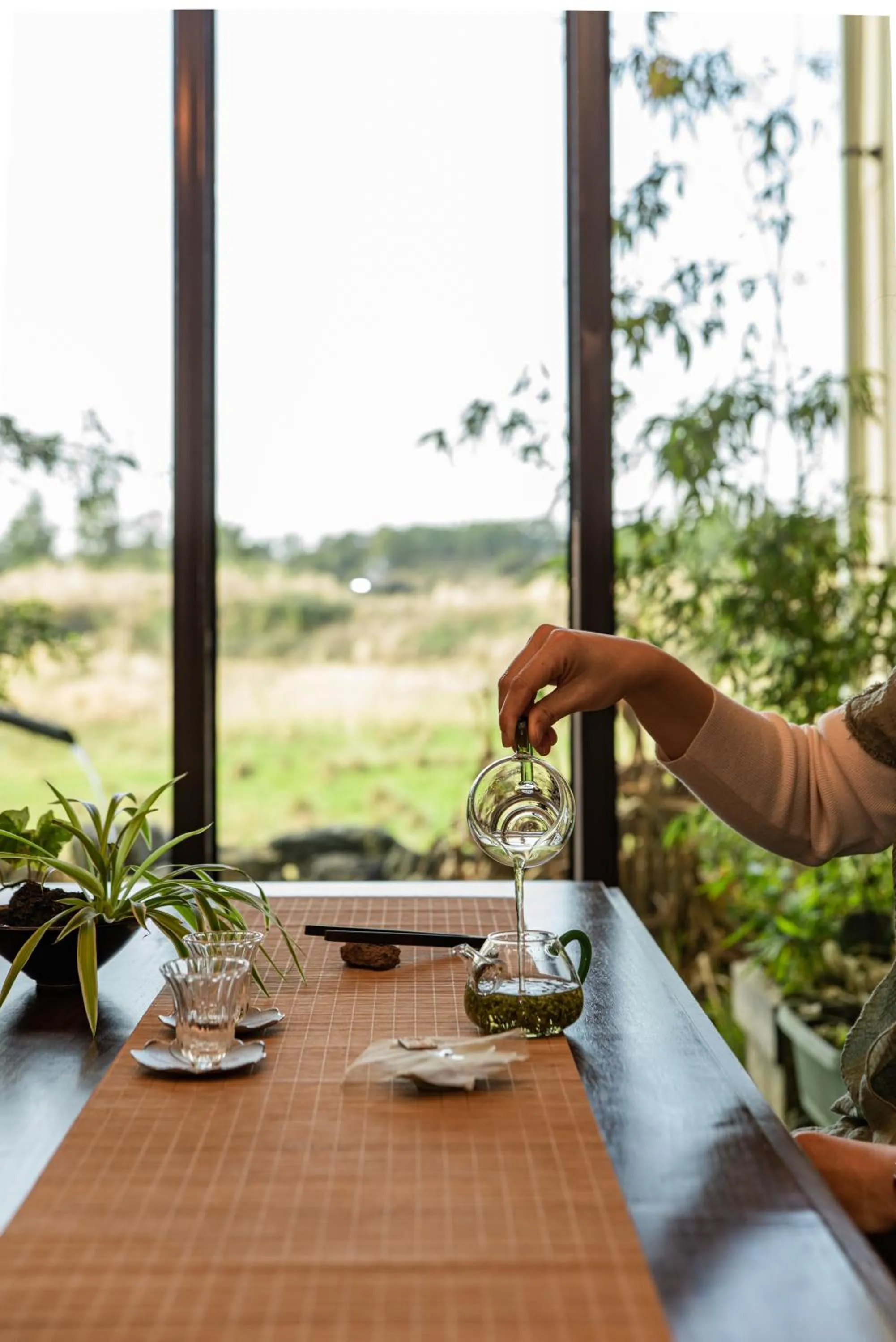 Chuidasun Resort Tea & Meditation