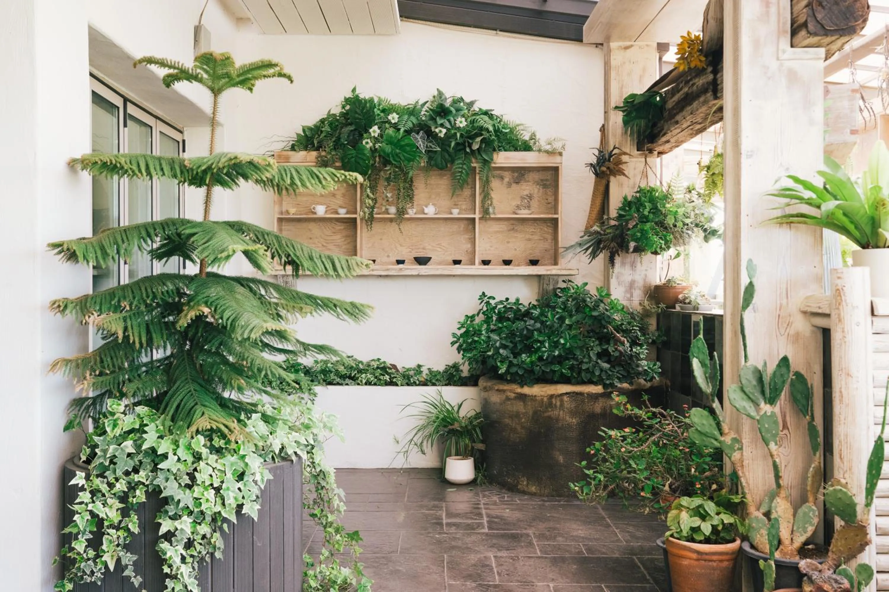 Chuidasun Resort Tea & Meditation