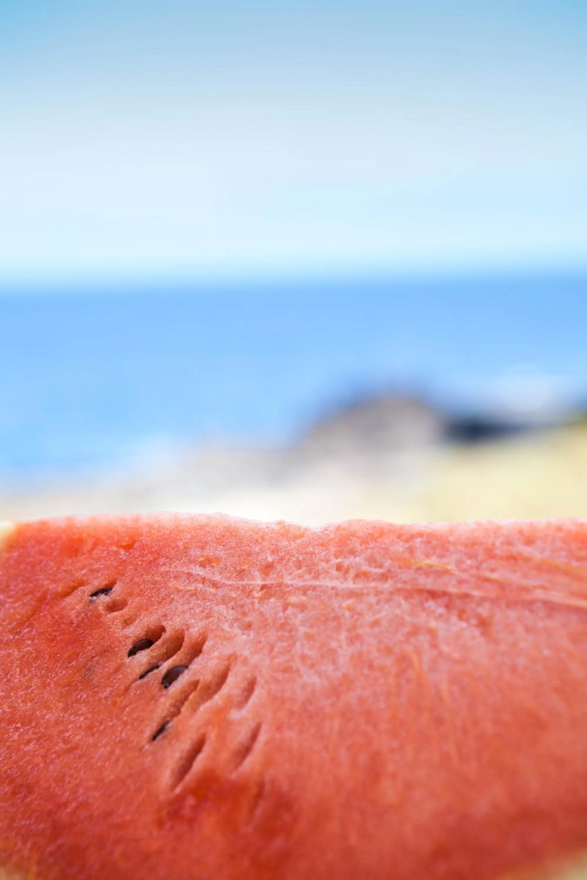 Food in Apartamentos Centro Cancajos