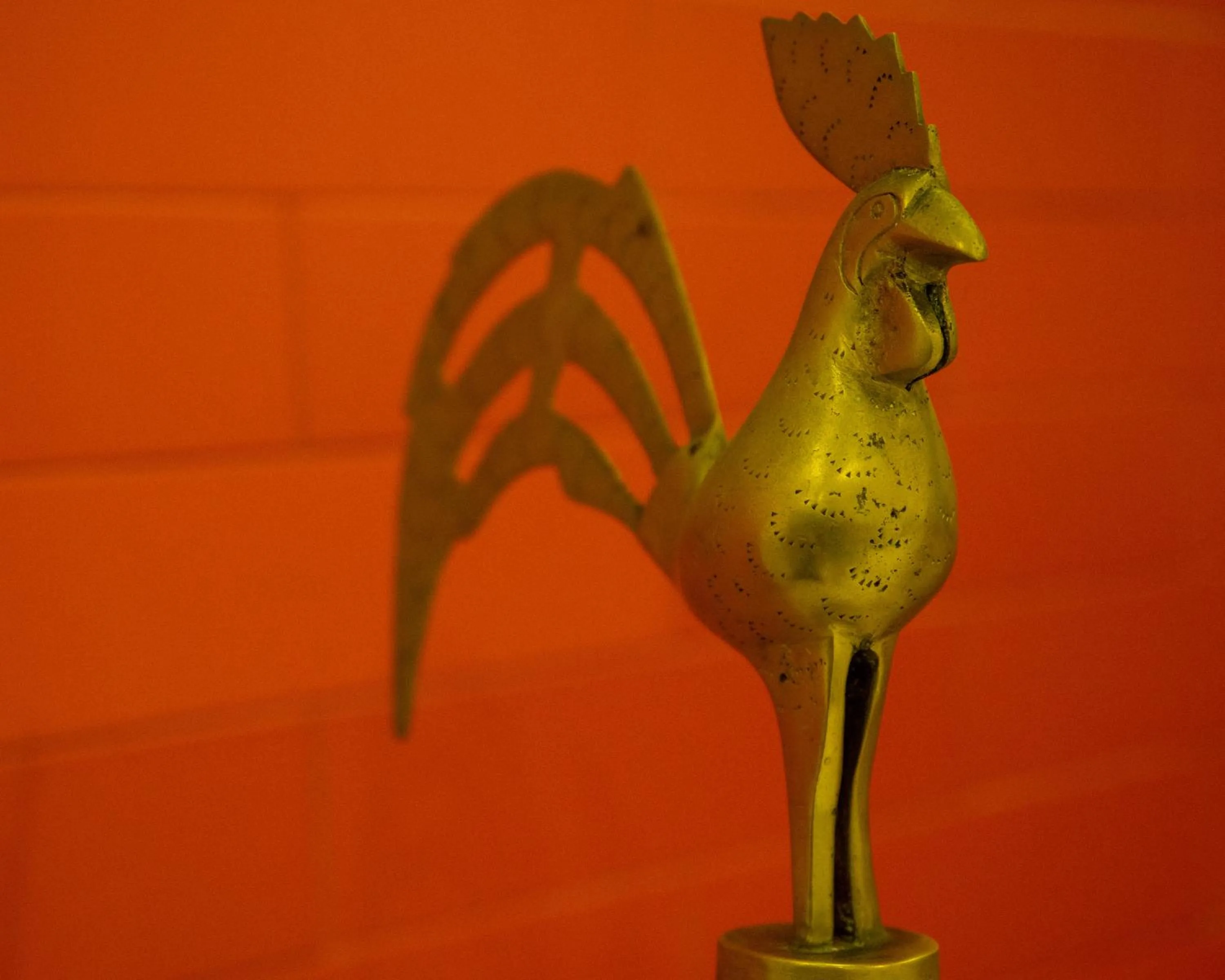 Hotel Marine at Negombo Beach