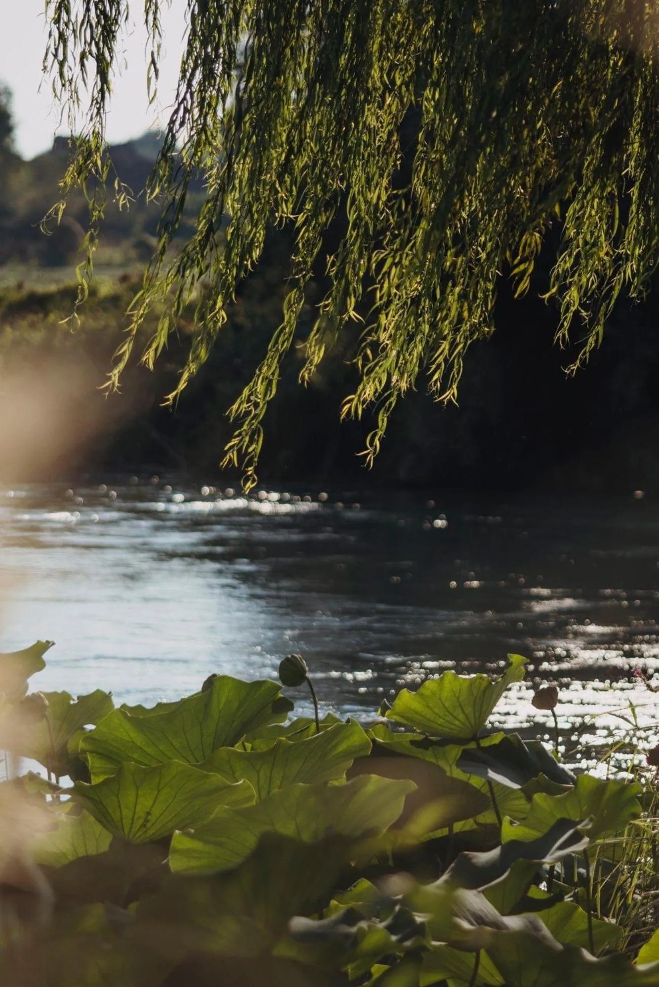 La Finestra sul Fiume