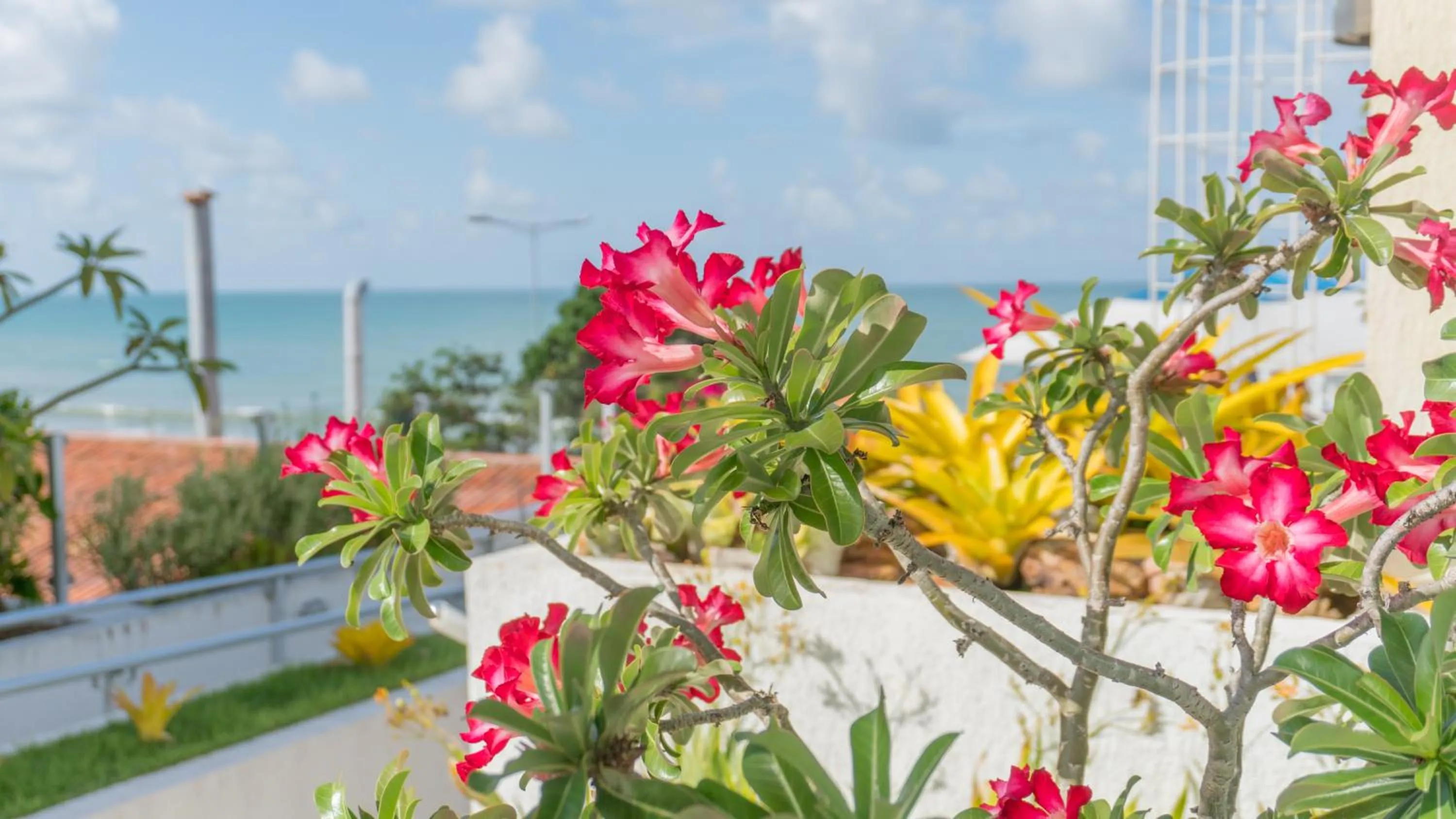 Garden in Kristie Resort Natal Hotel