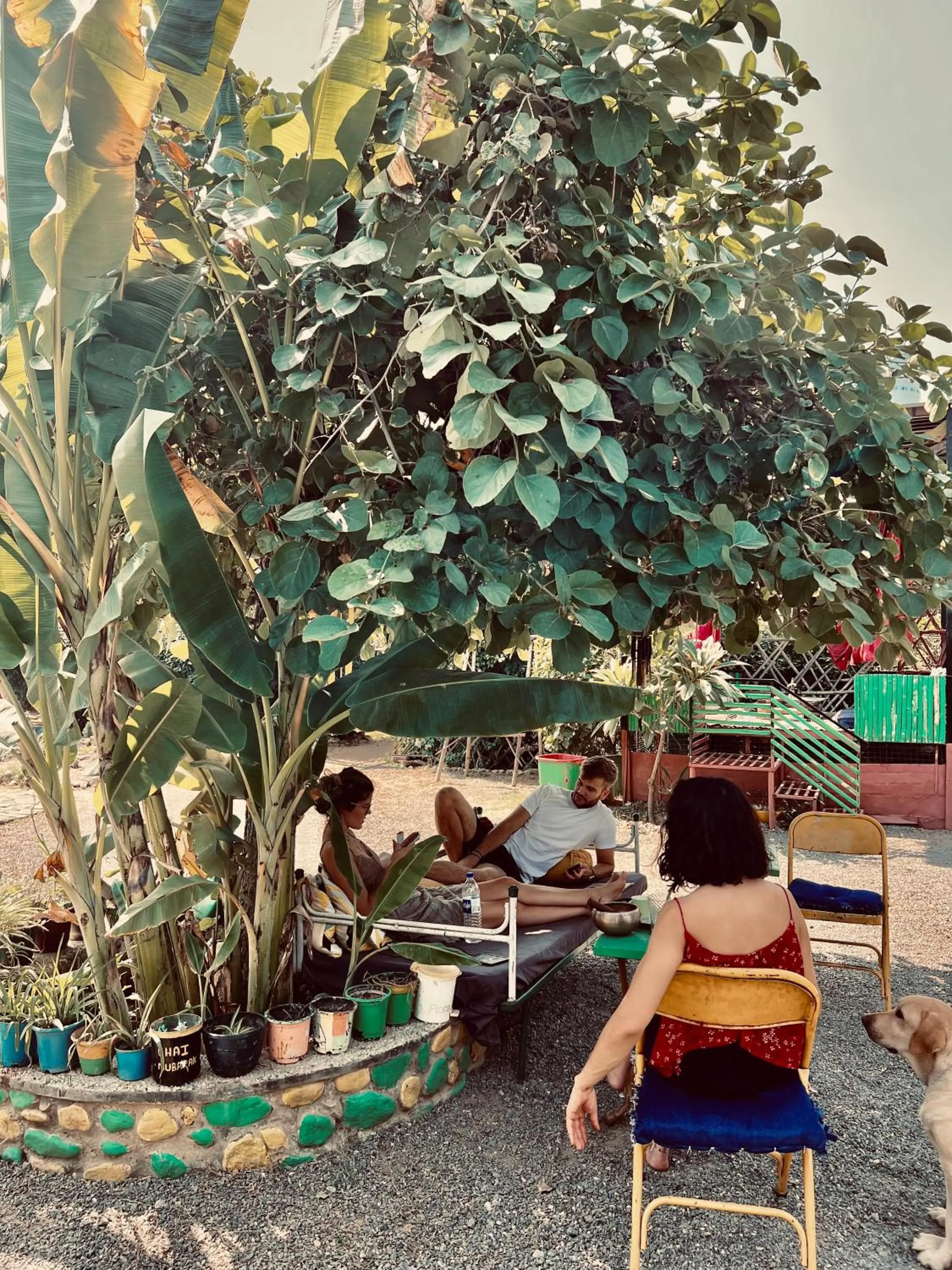 Spring in Namaste India