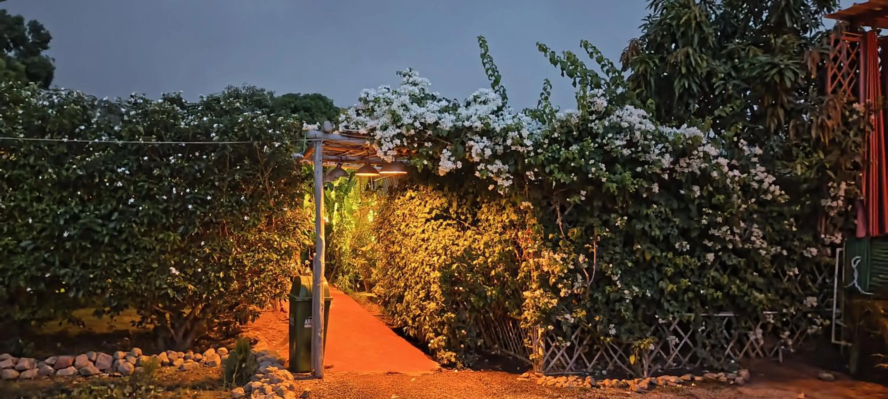 Garden view in Namaste India