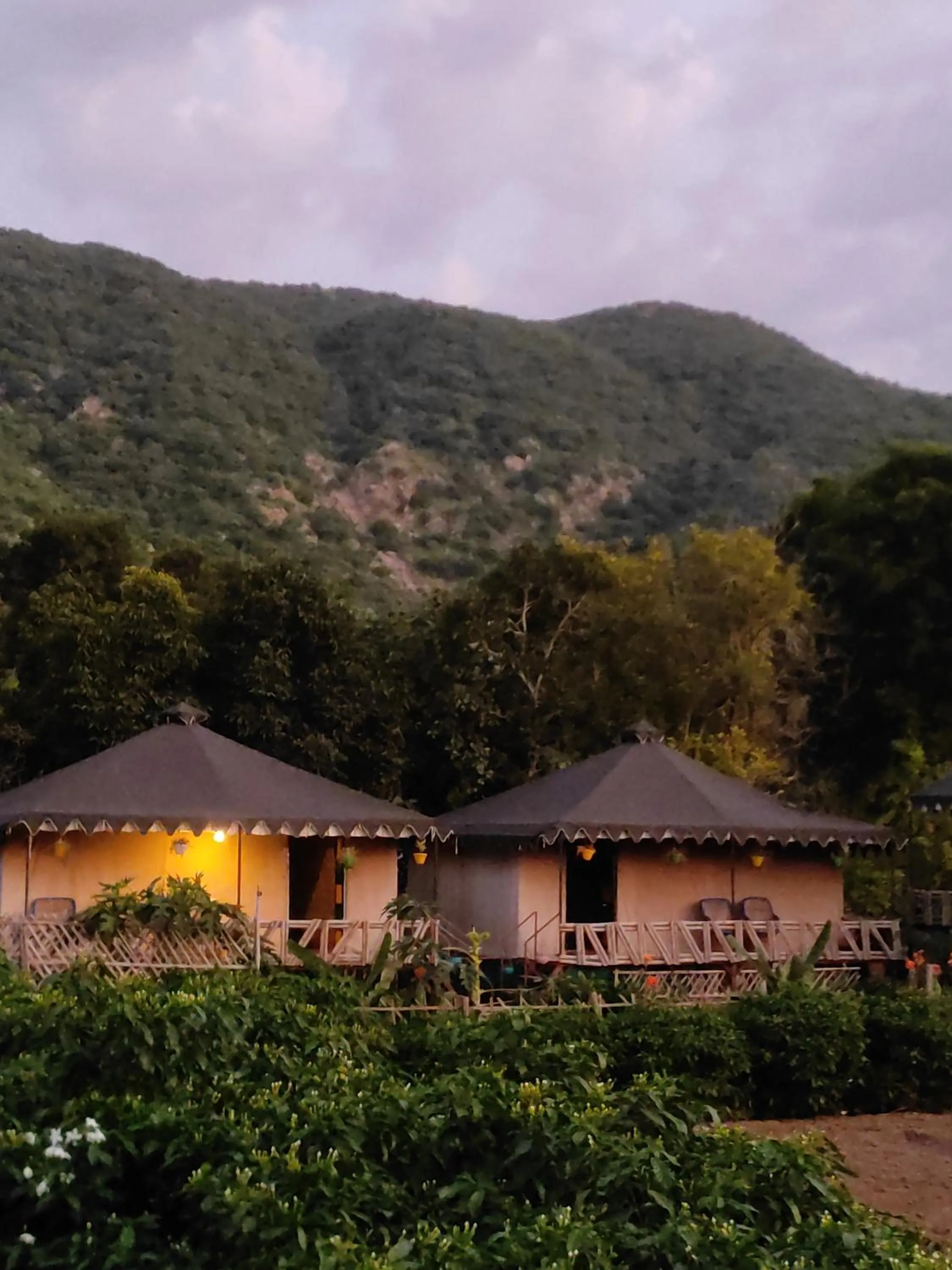 Property building in Namaste India