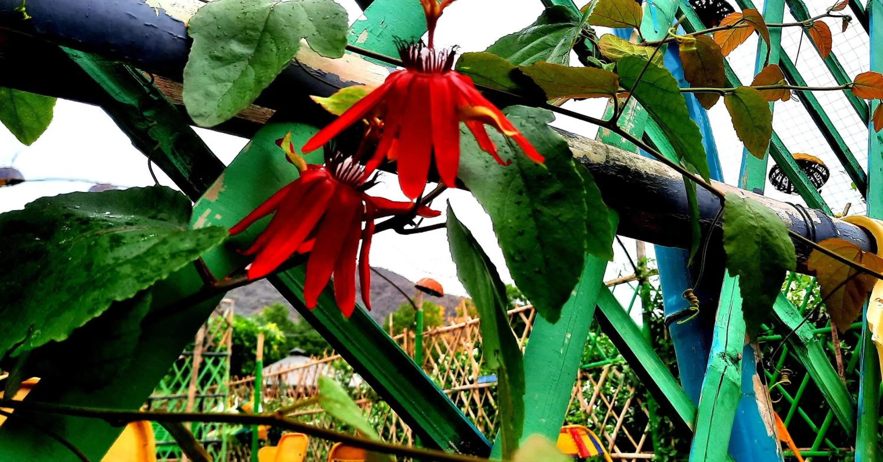 Day in Namaste India