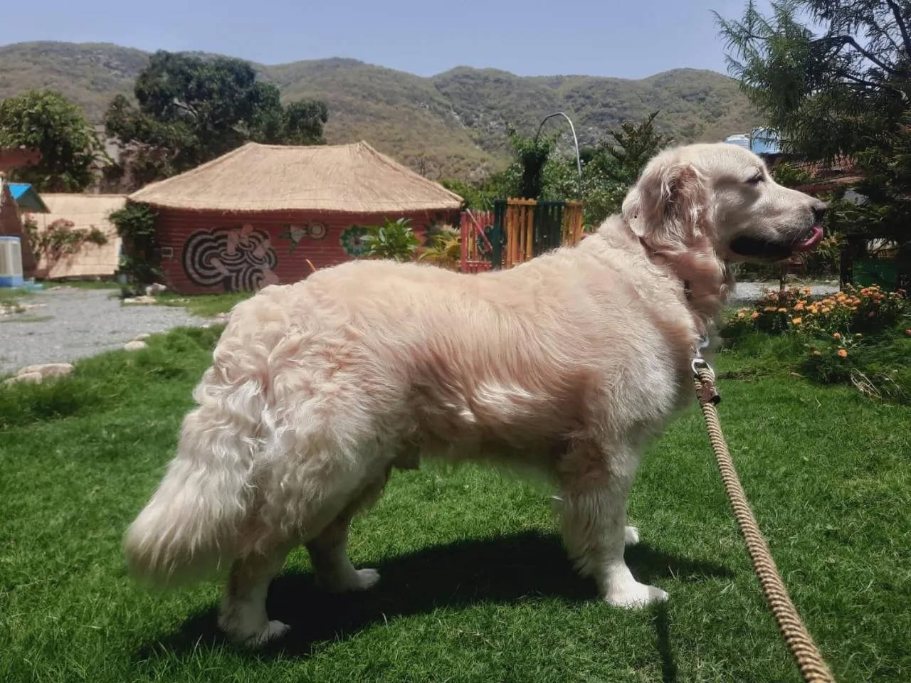 Day in Namaste India