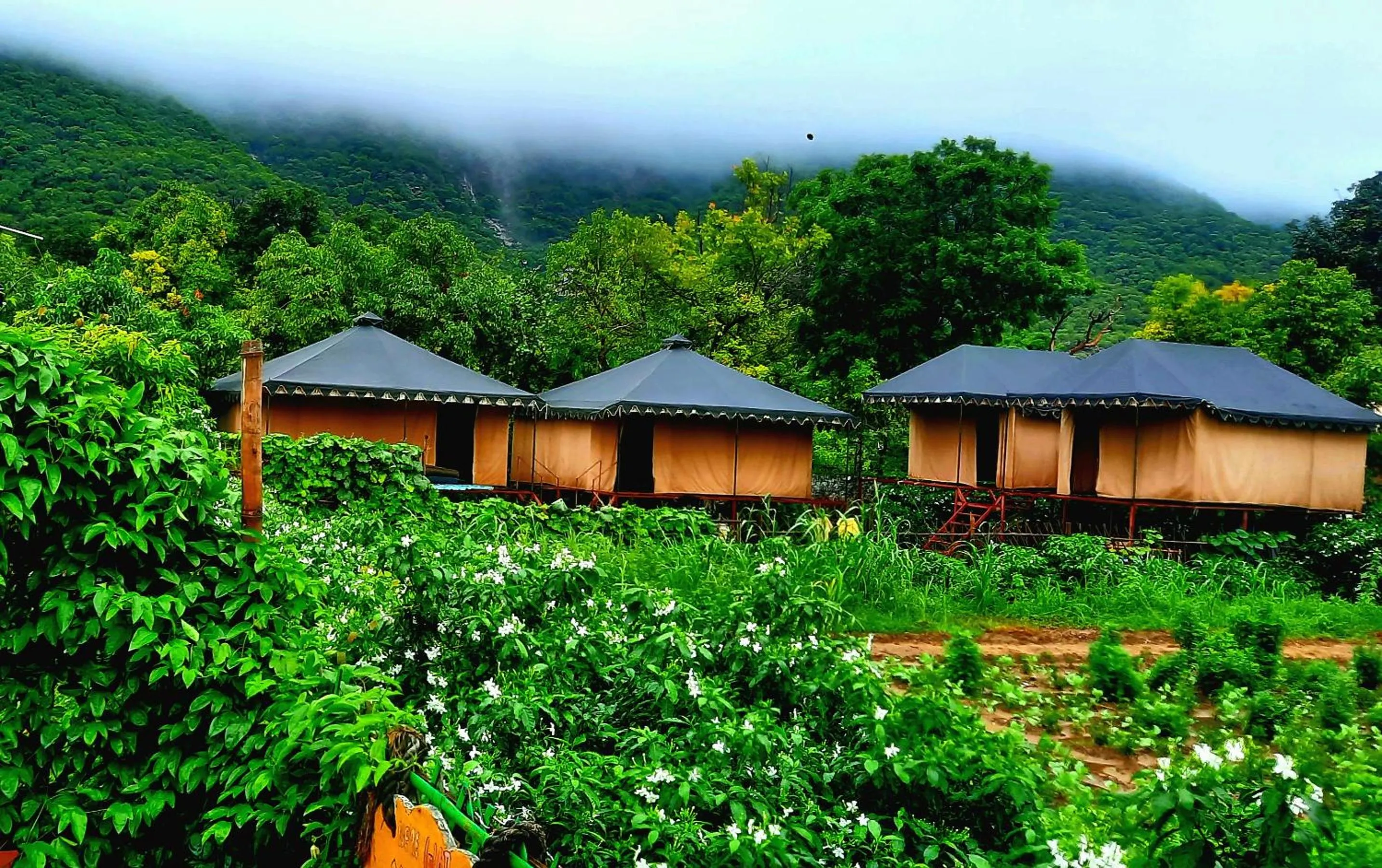 Day in Namaste India