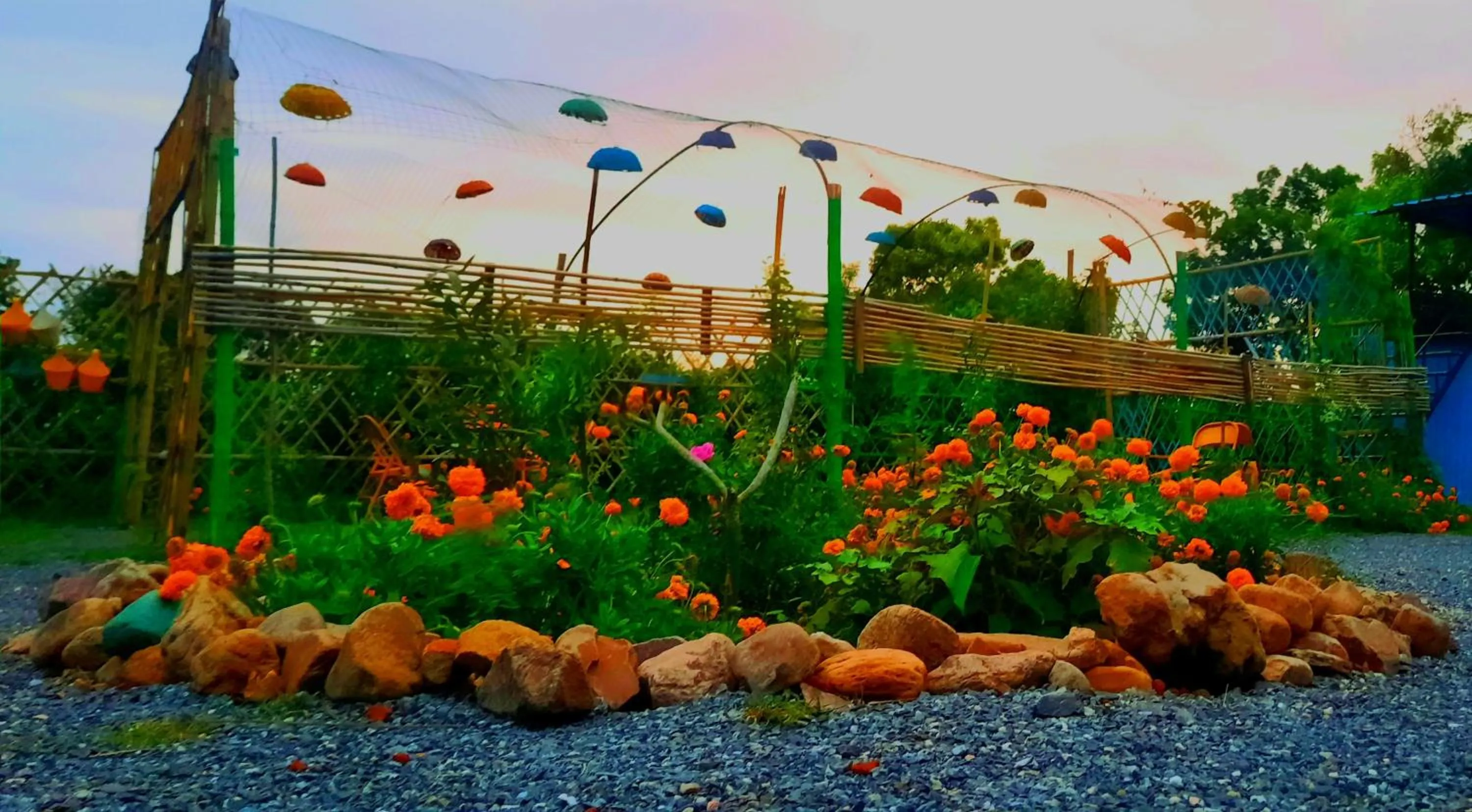 Spring in Namaste India