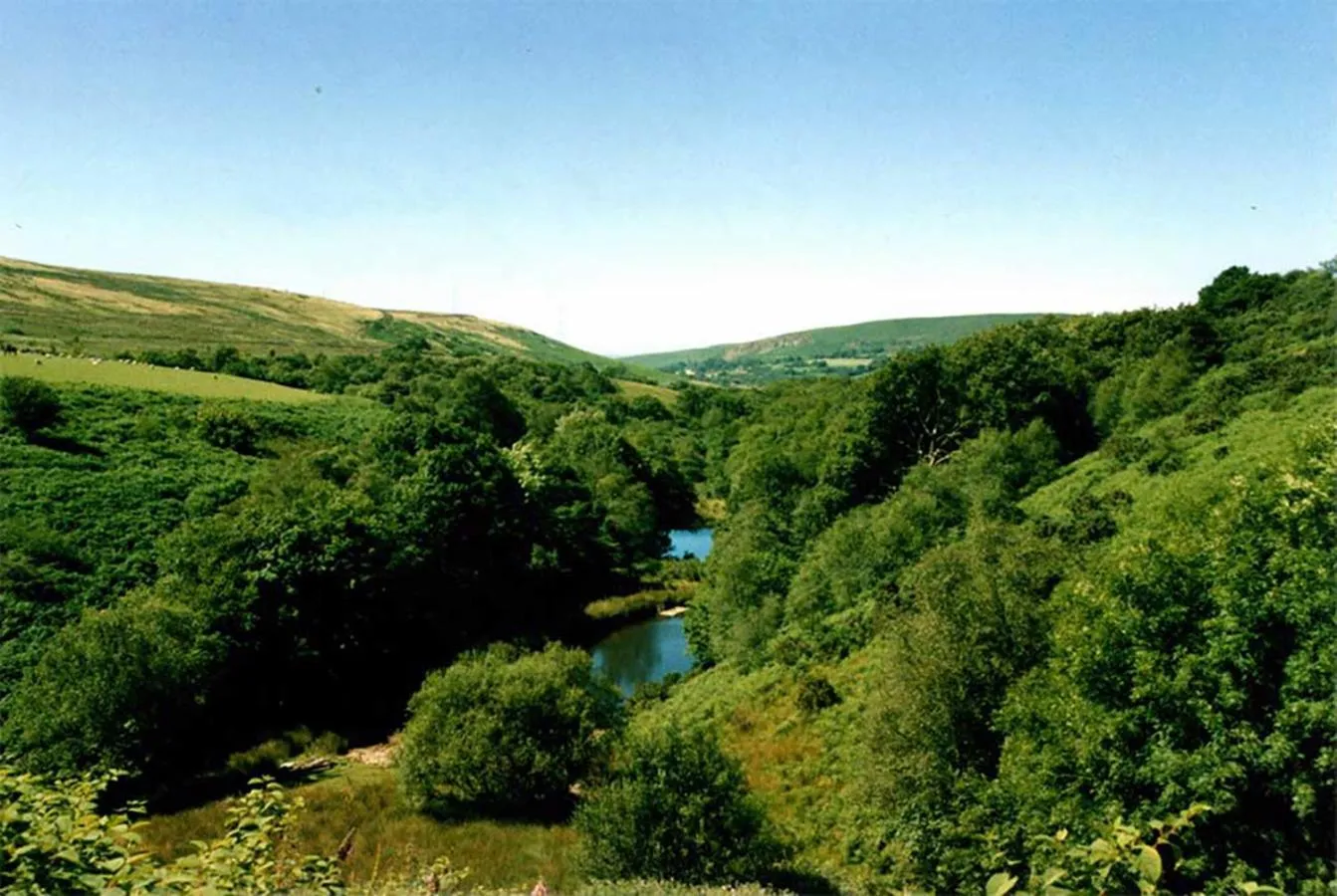 View (from property/room) in Barn Cottage - Farm Park Stay with Hot Tub