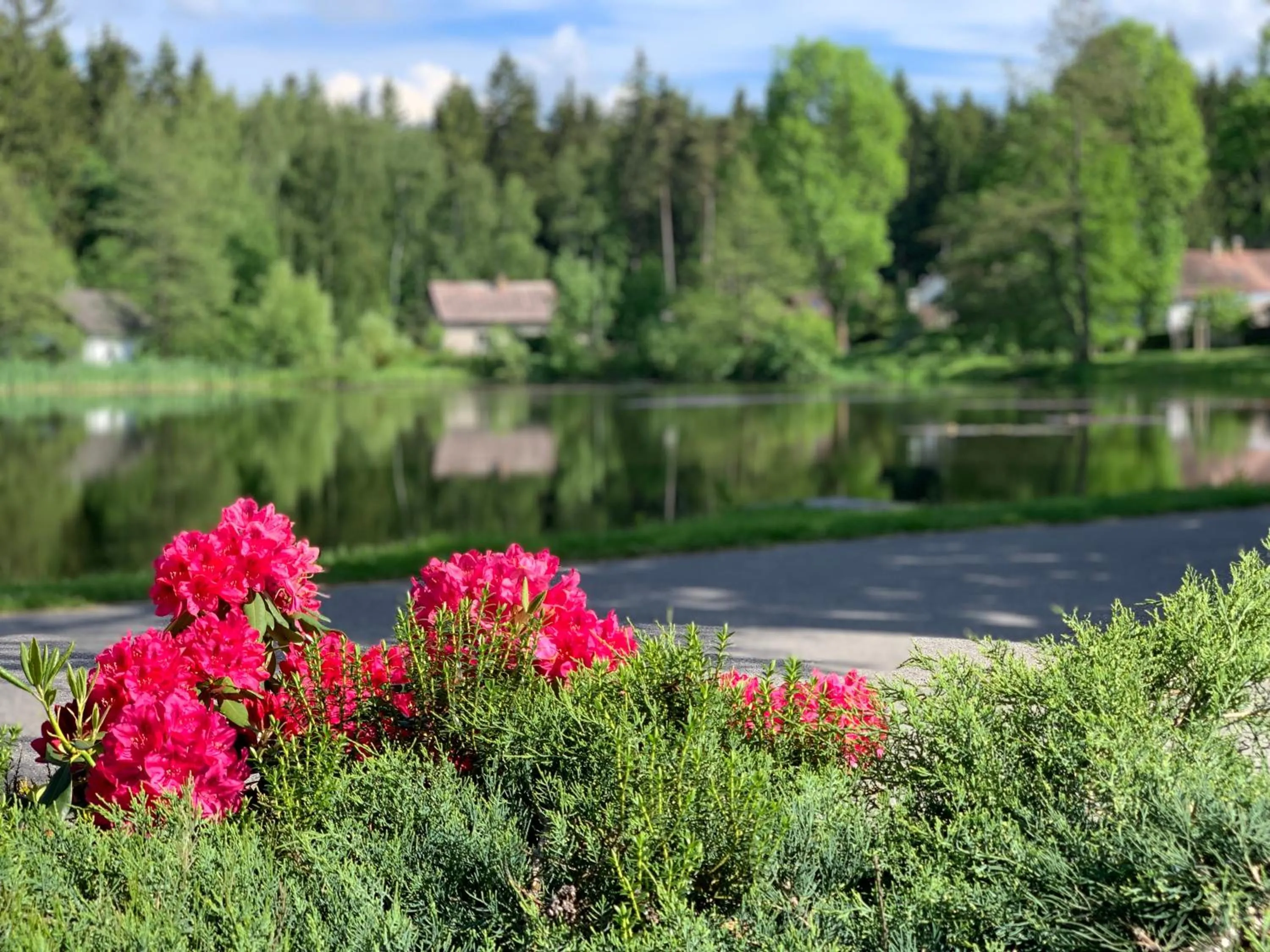View (from property/room) in Hotel Leopold Račín