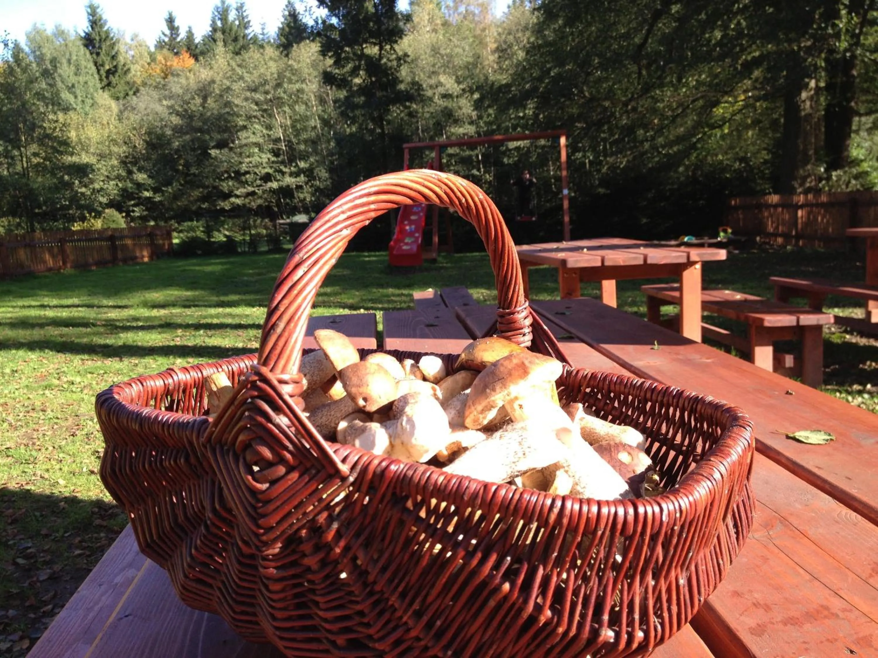 Garden in Hotel Leopold Račín