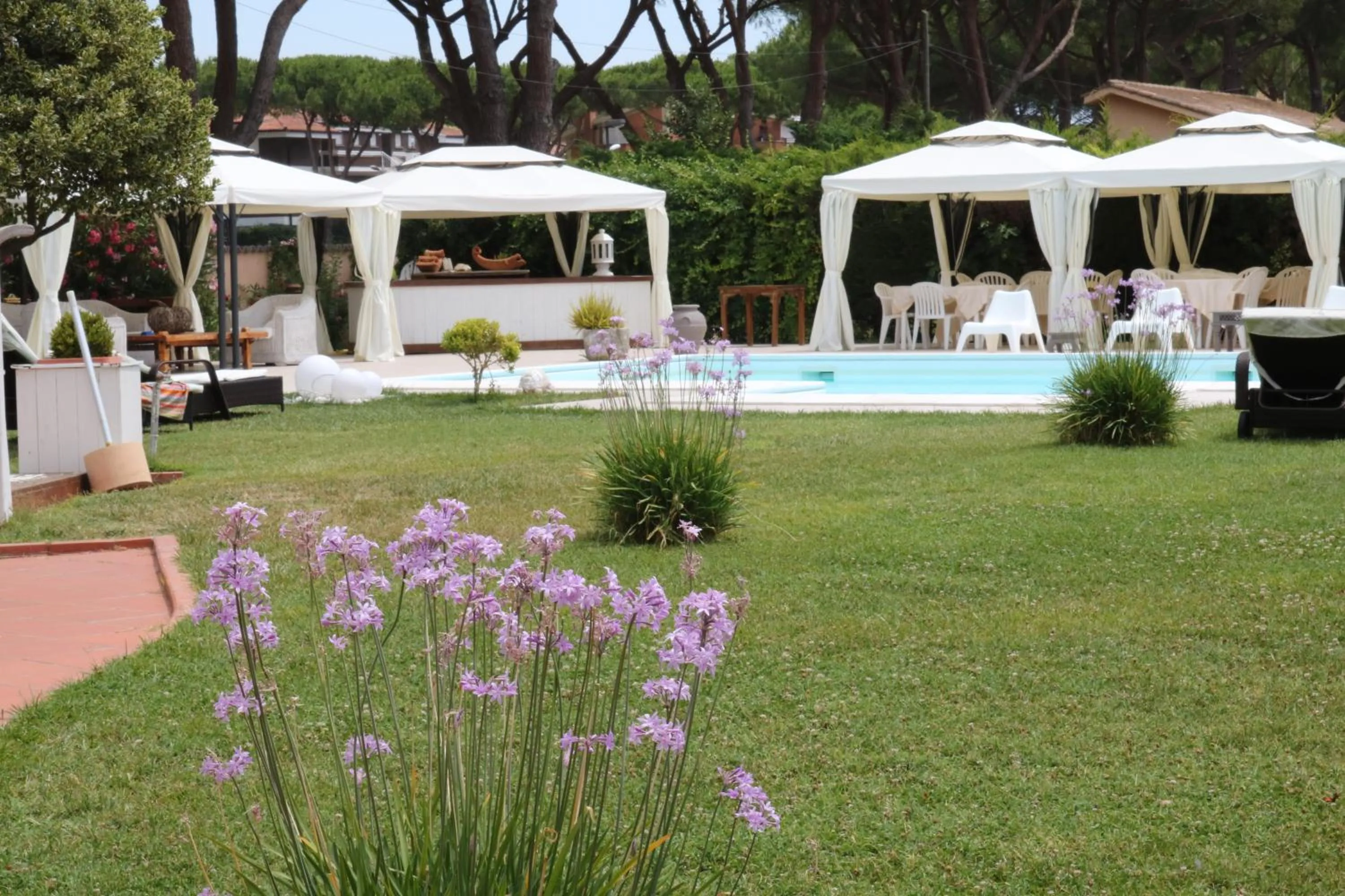 Summer in Hotel Velcamare