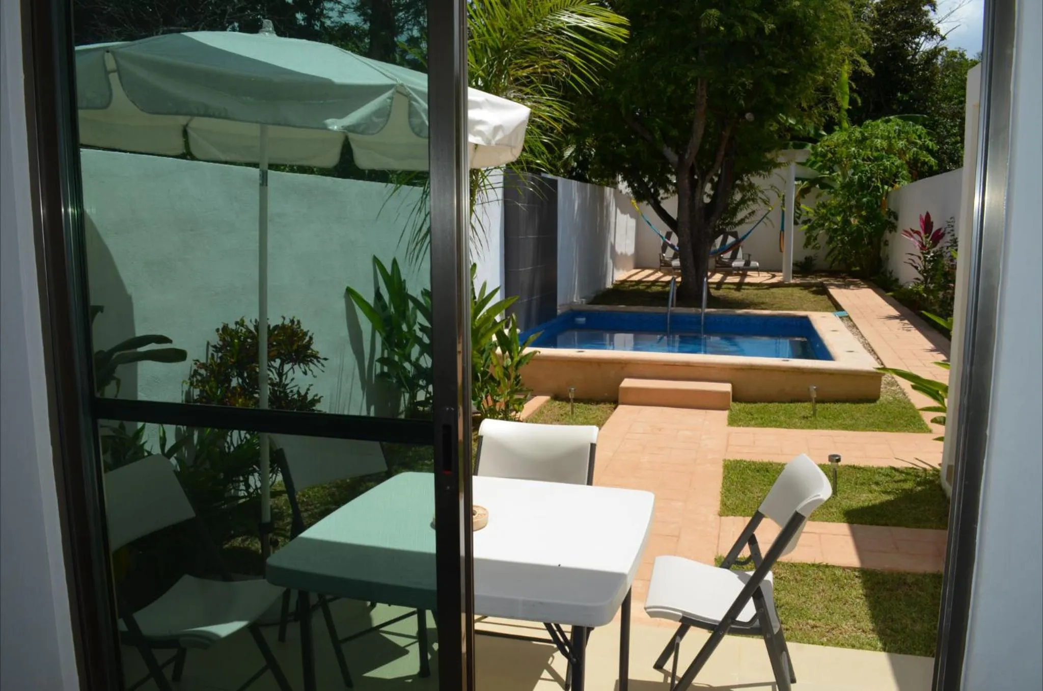 Swimming pool in Casa Mango