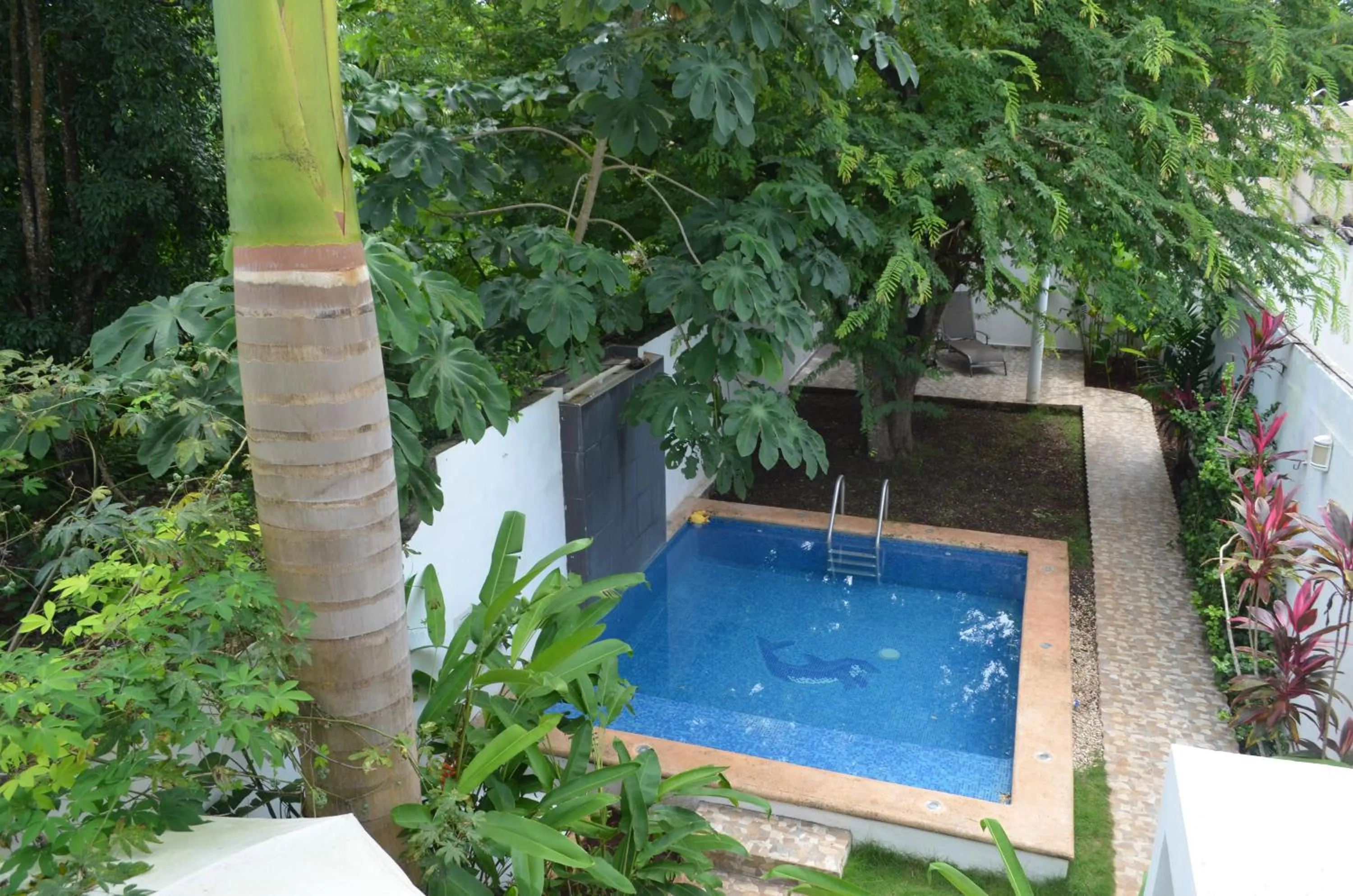 Balcony/Terrace in Casa Mango