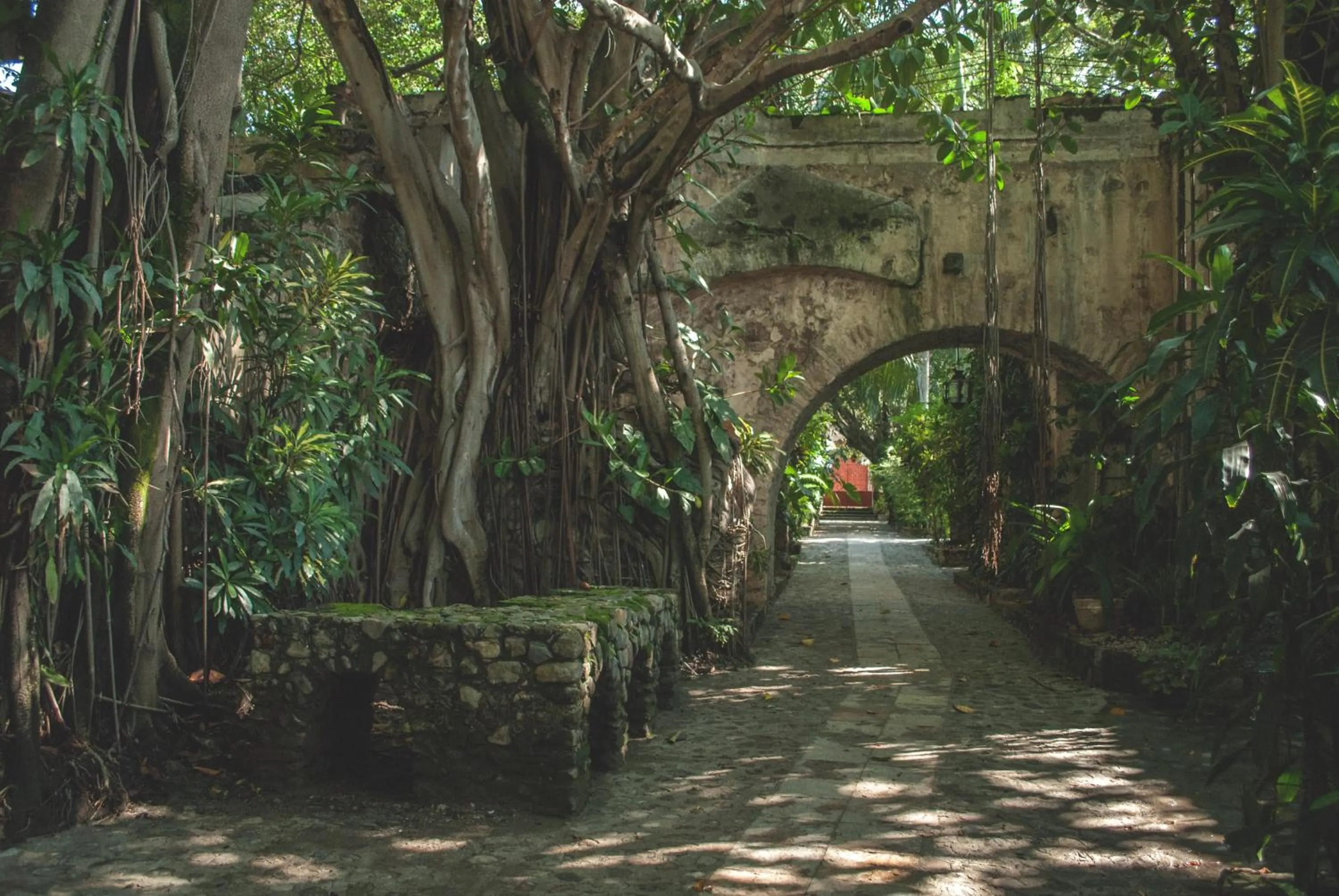 Garden in Hacienda San Gabriel de las Palmas