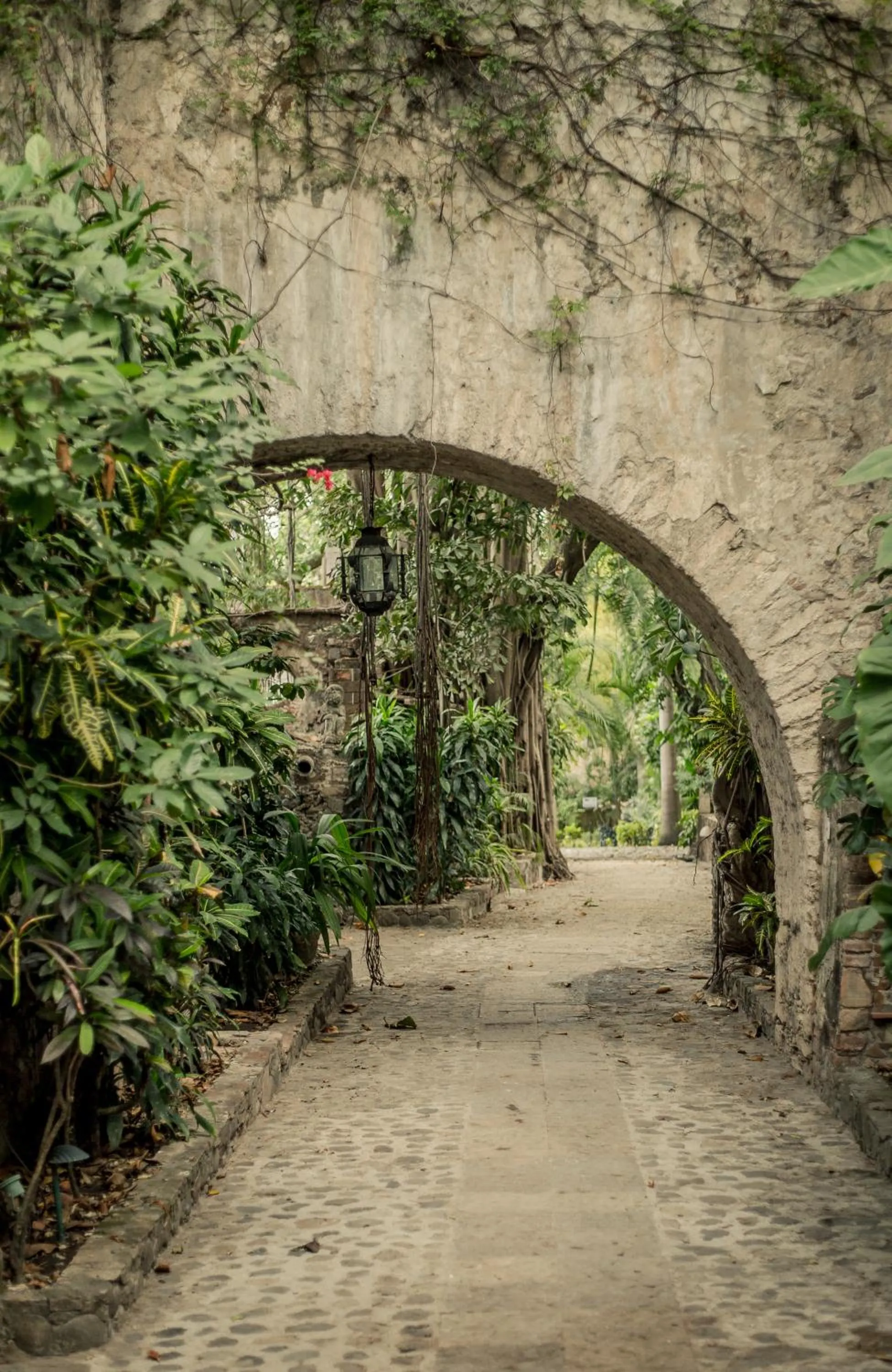 Patio in Hacienda San Gabriel de las Palmas