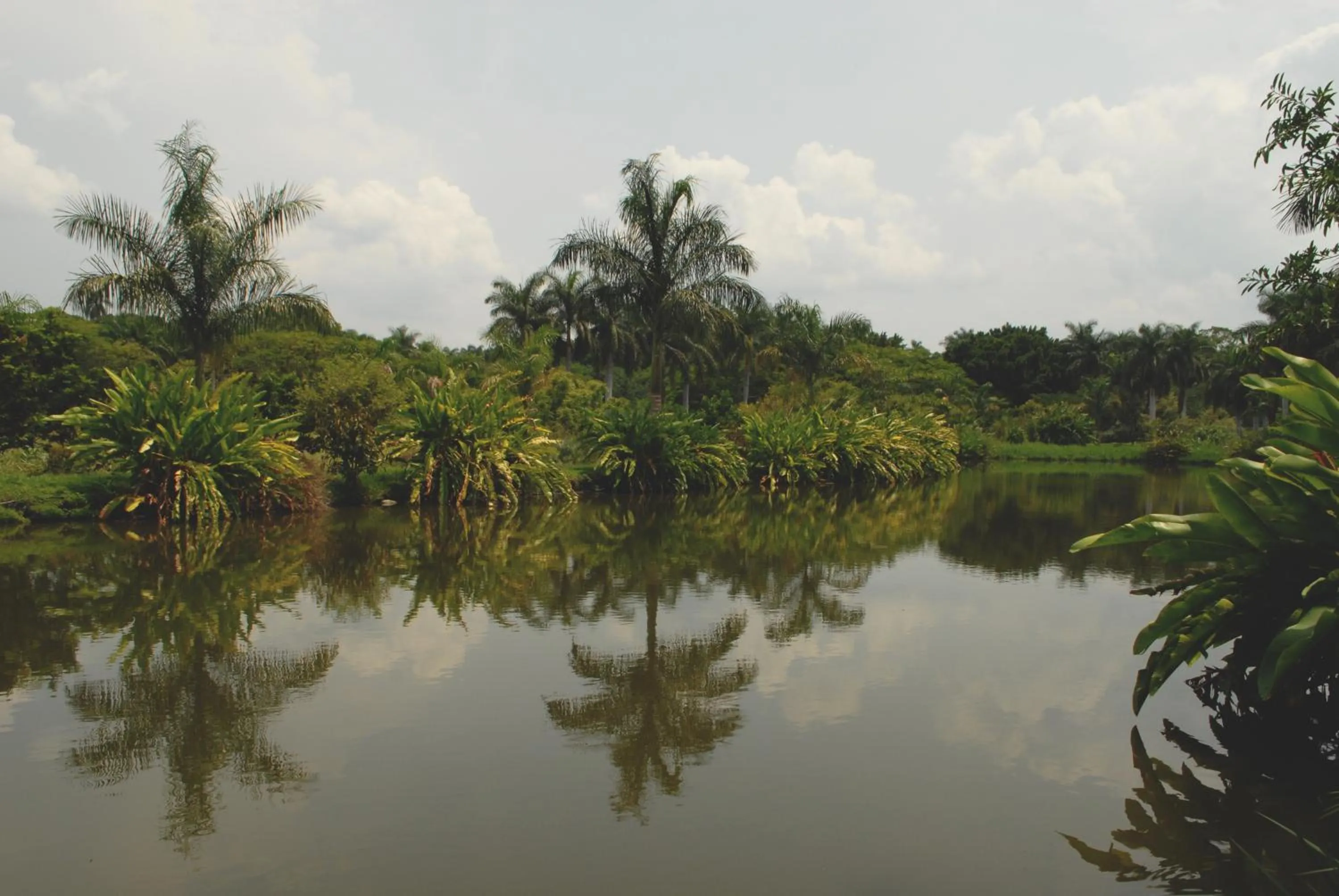 Natural landscape in Hacienda San Gabriel de las Palmas