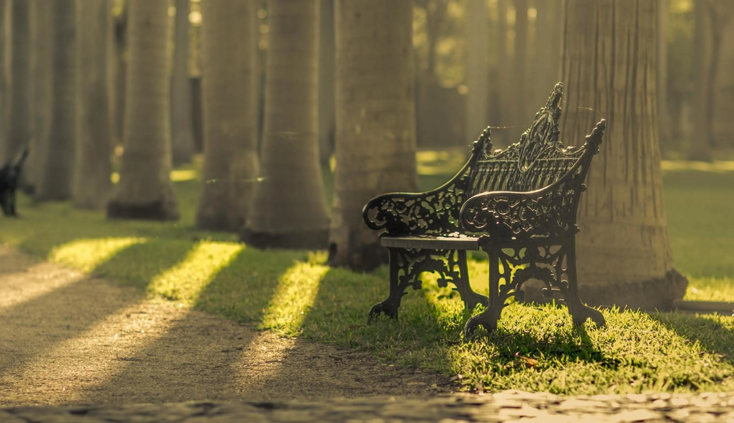 Garden in Hacienda San Gabriel de las Palmas