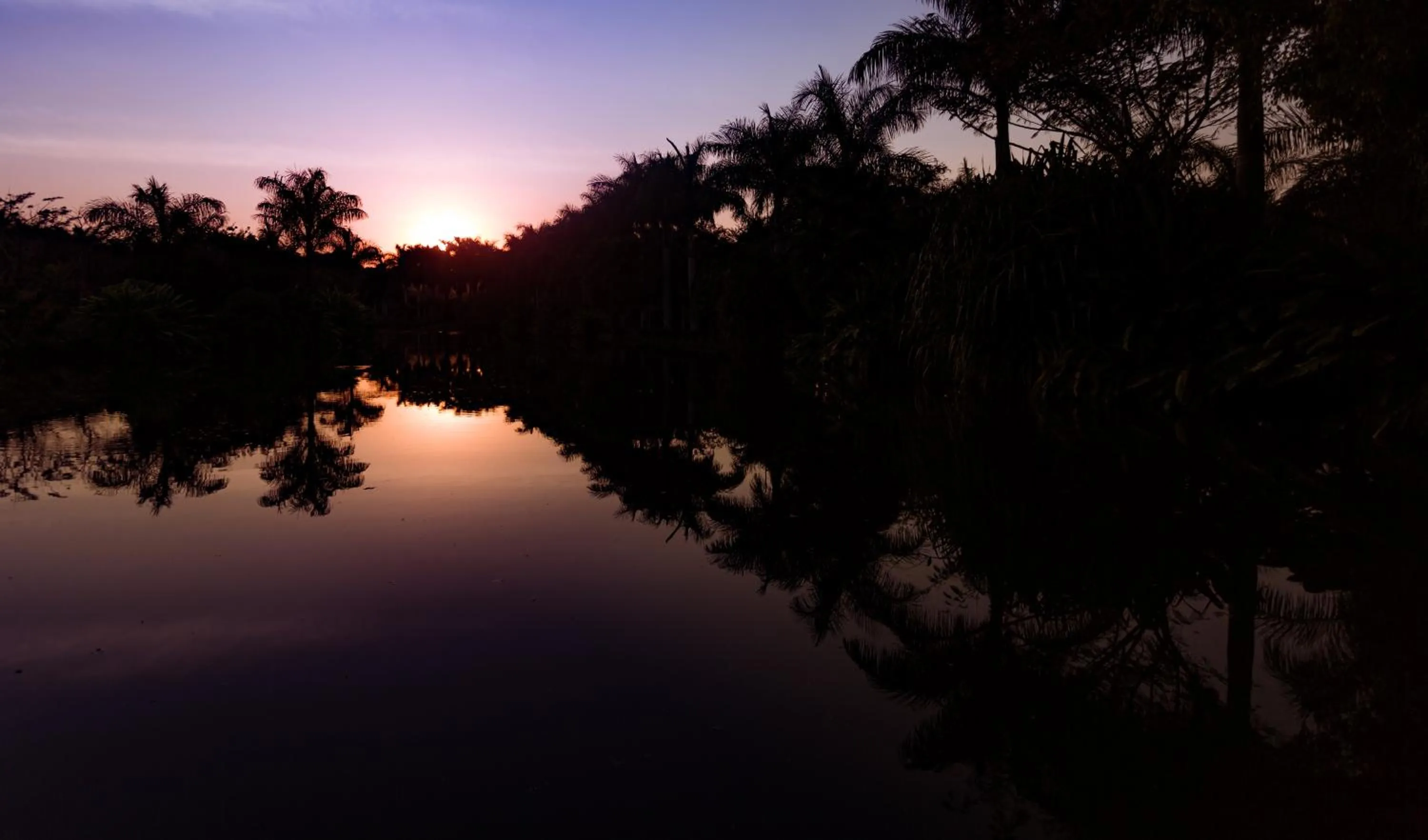Natural landscape in Hacienda San Gabriel de las Palmas