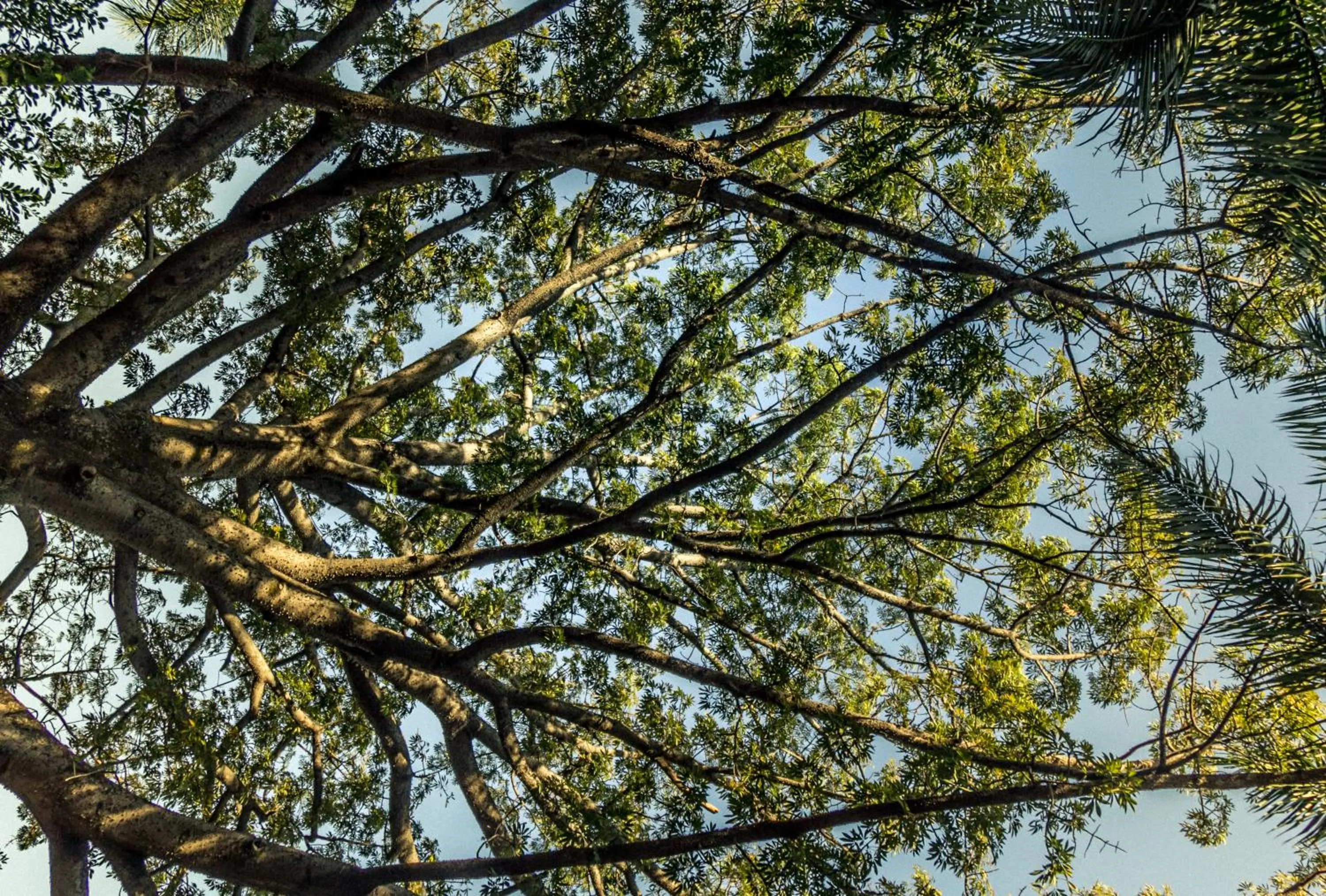 Other in Hacienda San Gabriel de las Palmas