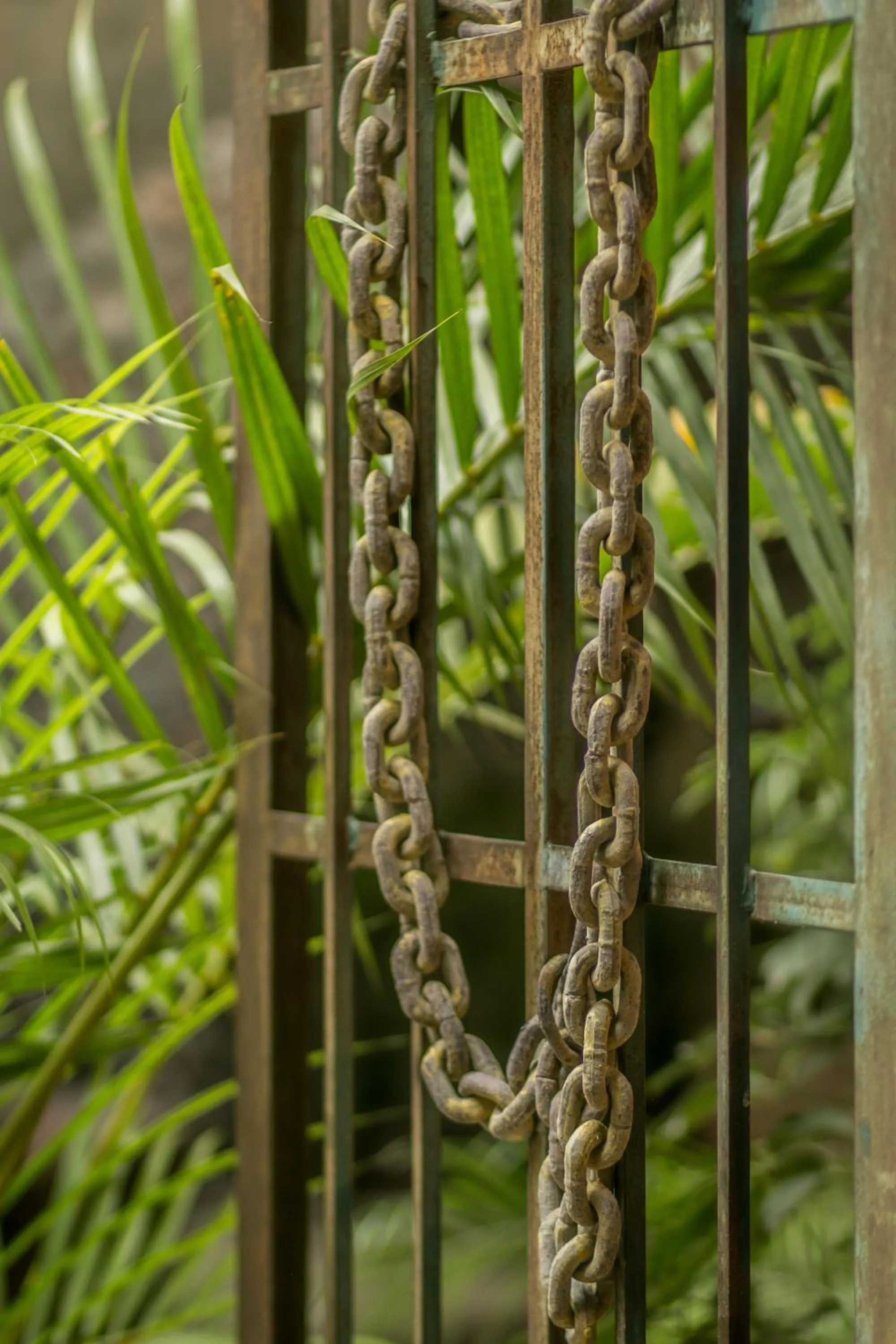 Other in Hacienda San Gabriel de las Palmas
