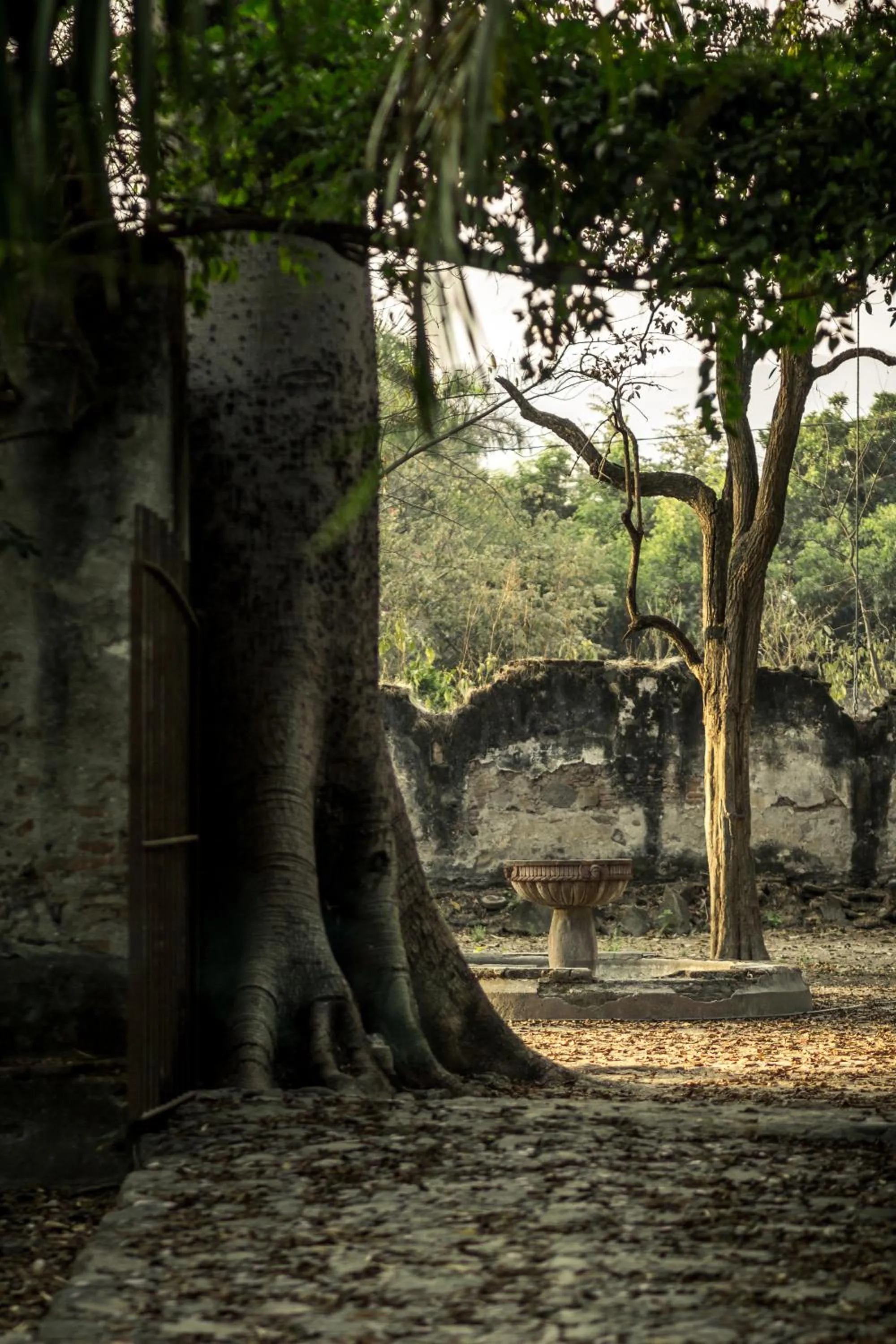 Patio in Hacienda San Gabriel de las Palmas