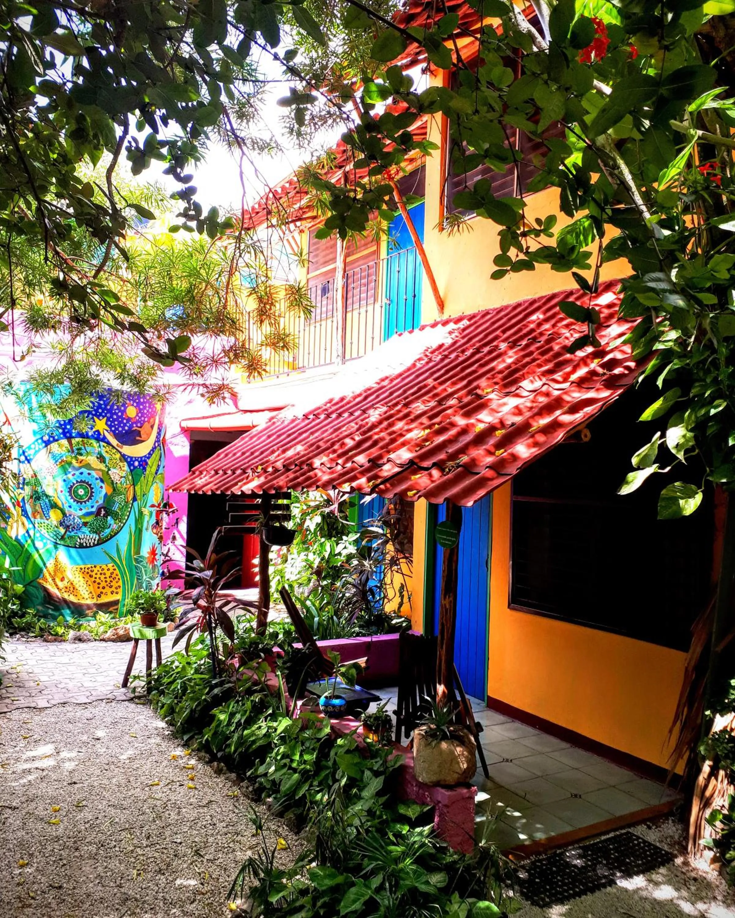 Patio in Hostel Candelaria