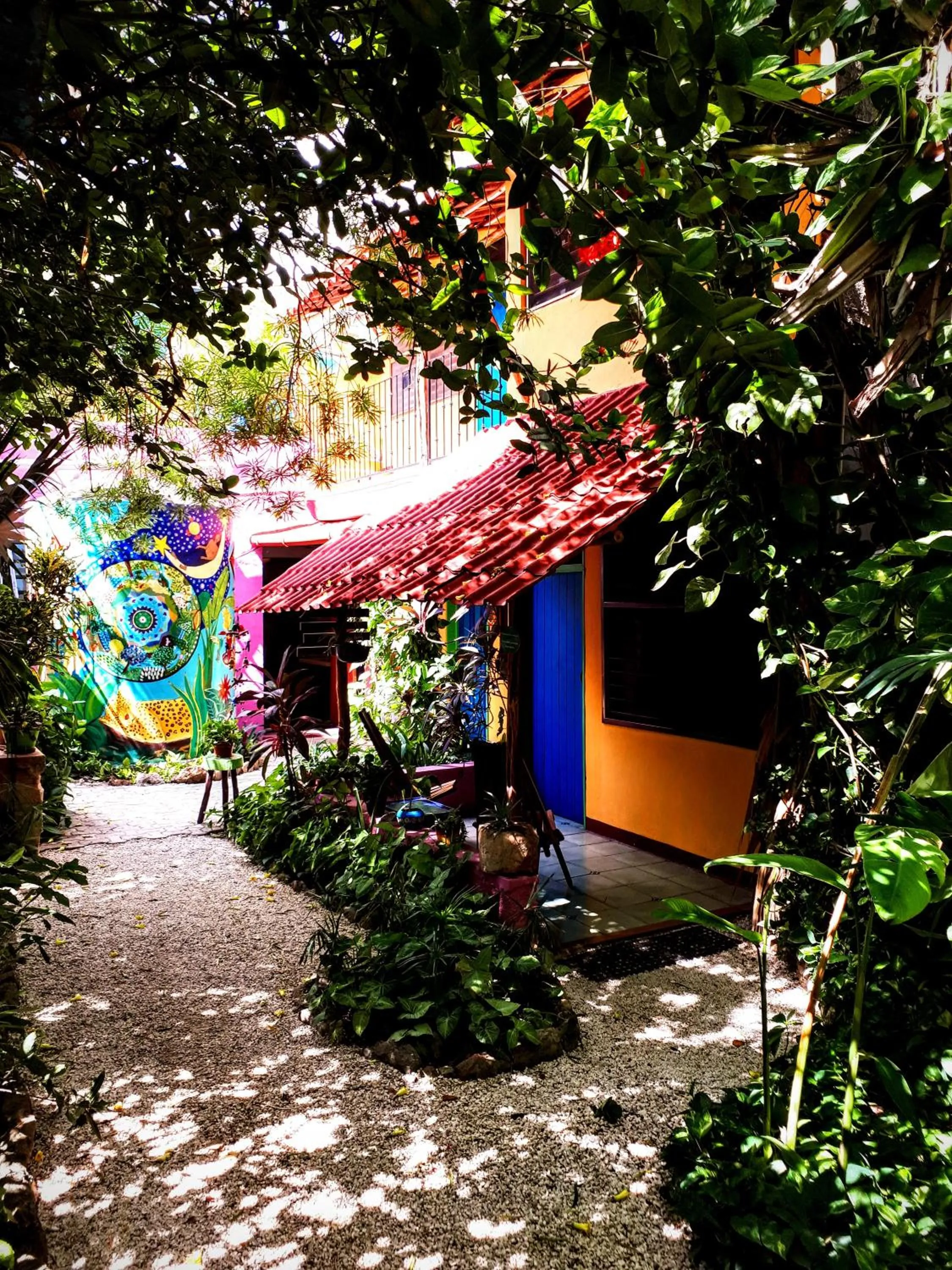 Garden in Hostel Candelaria