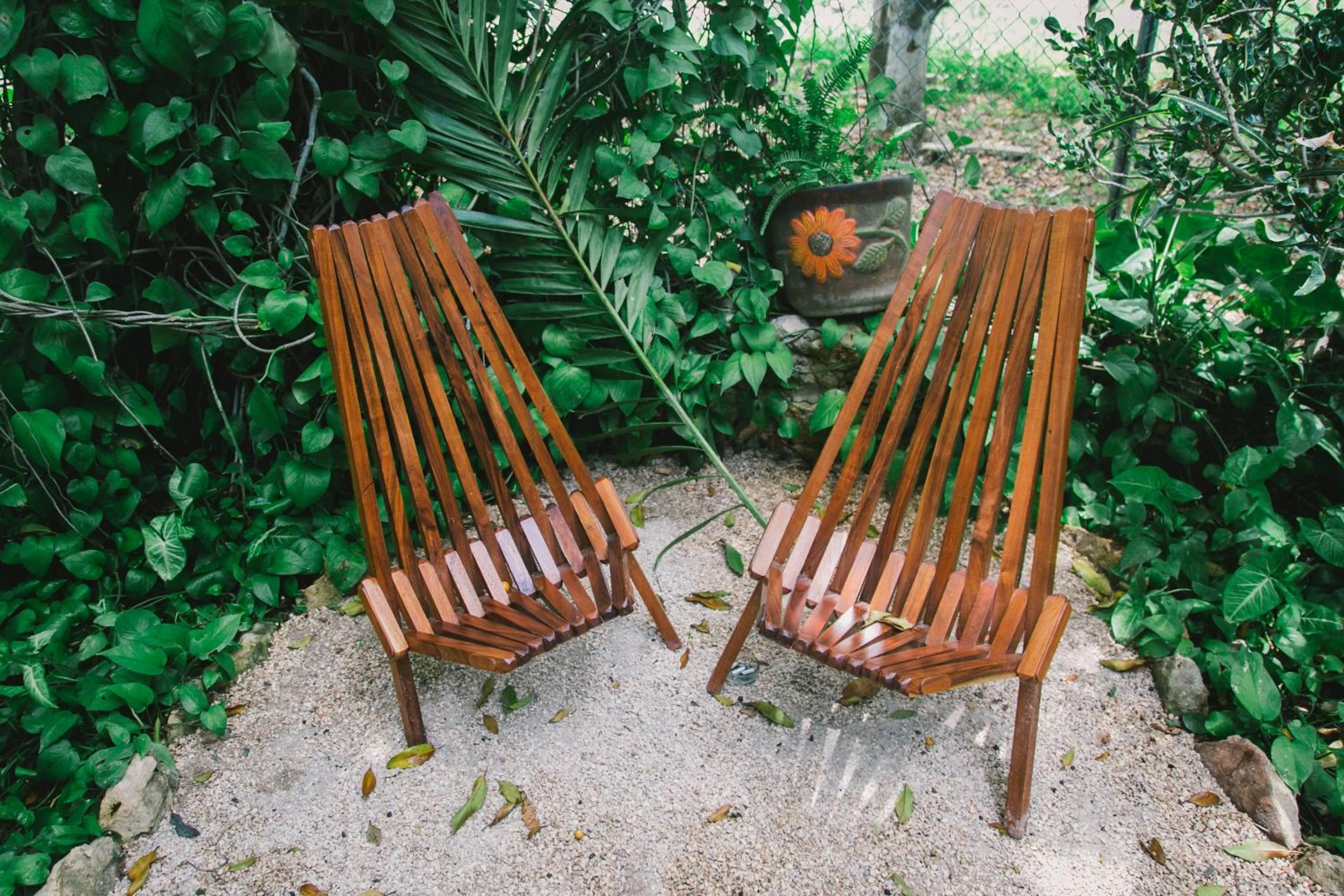 Patio in Hostel Candelaria