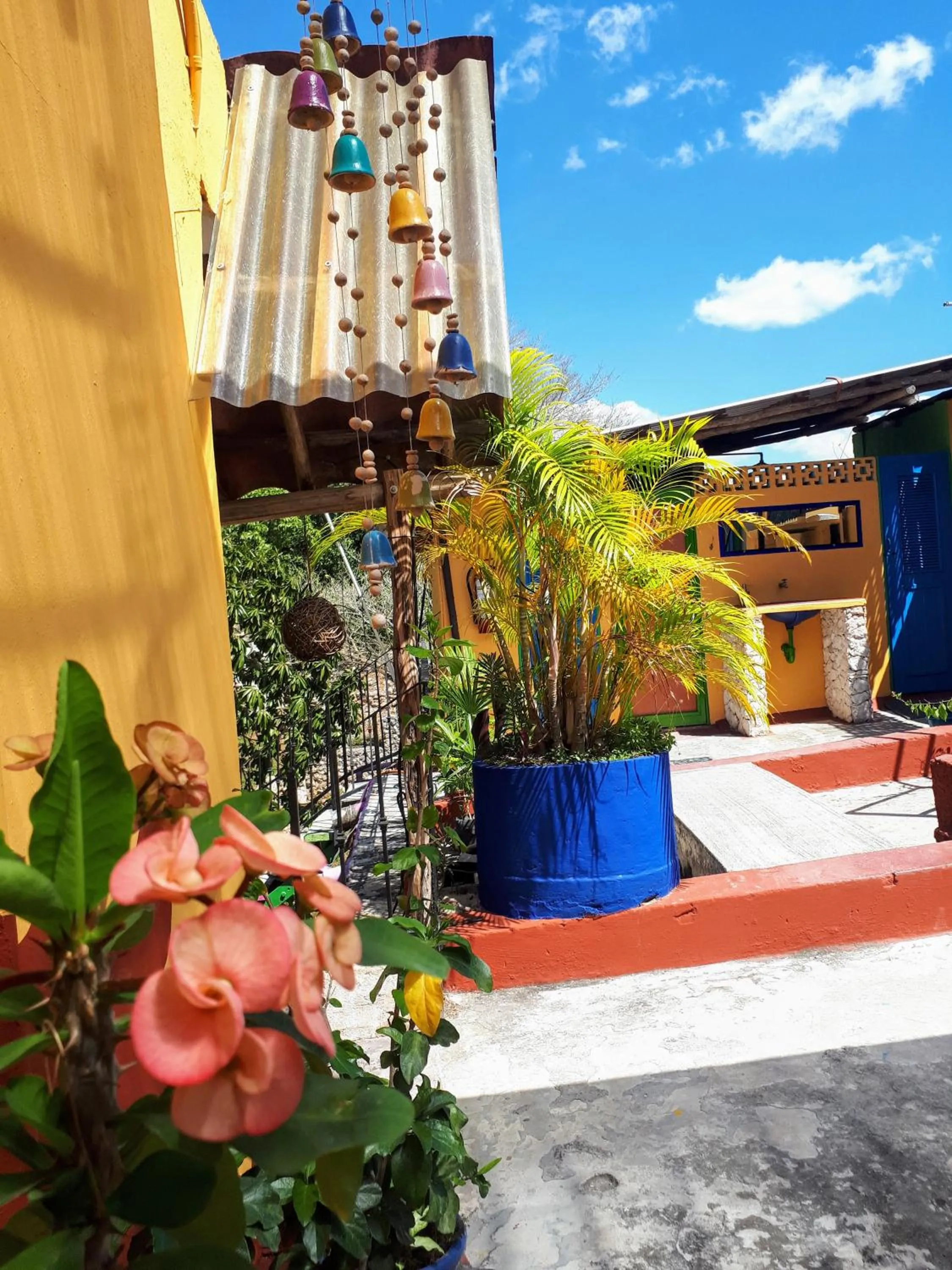 Balcony/Terrace in Hostel Candelaria