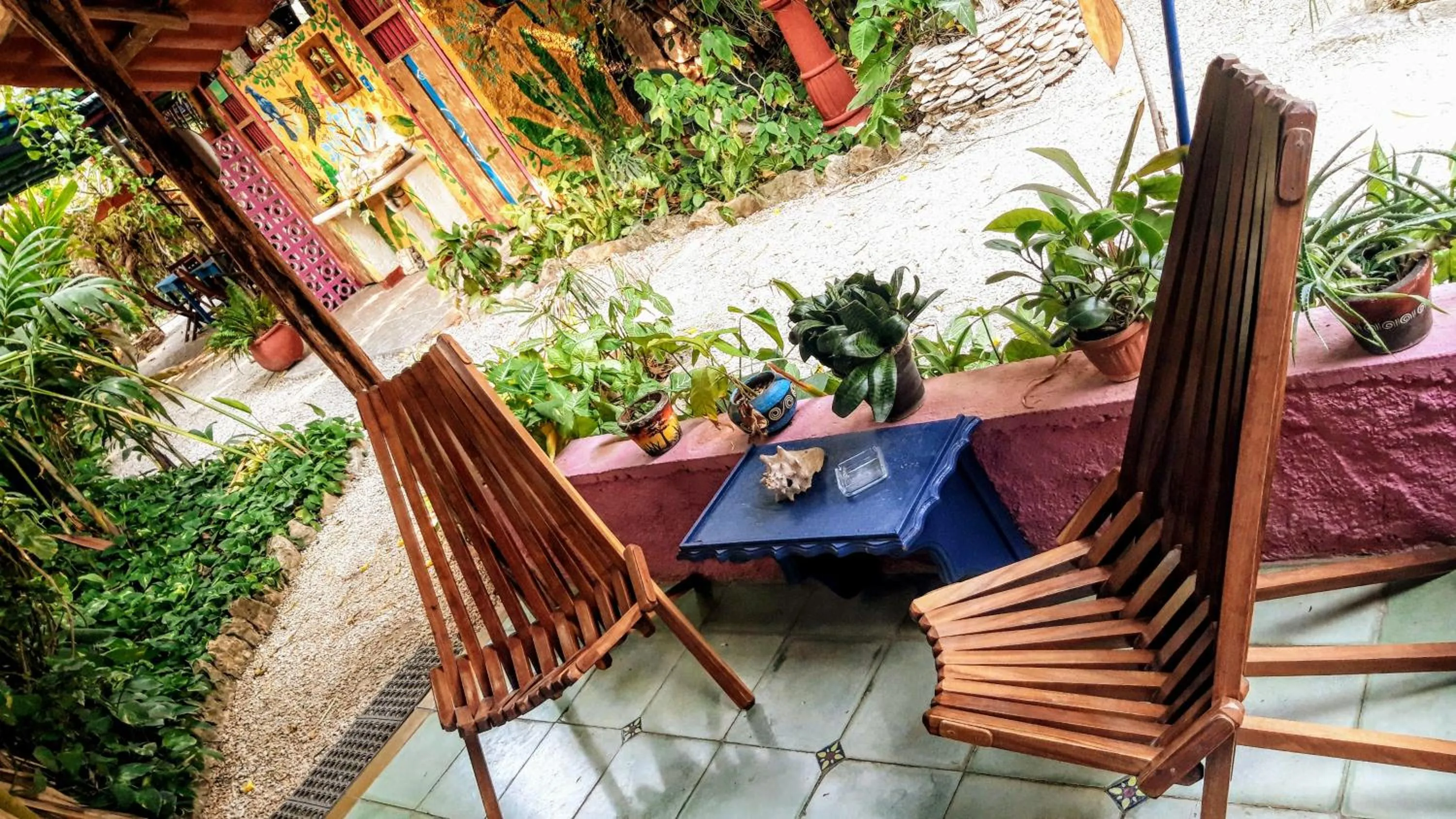 Balcony/Terrace in Hostel Candelaria