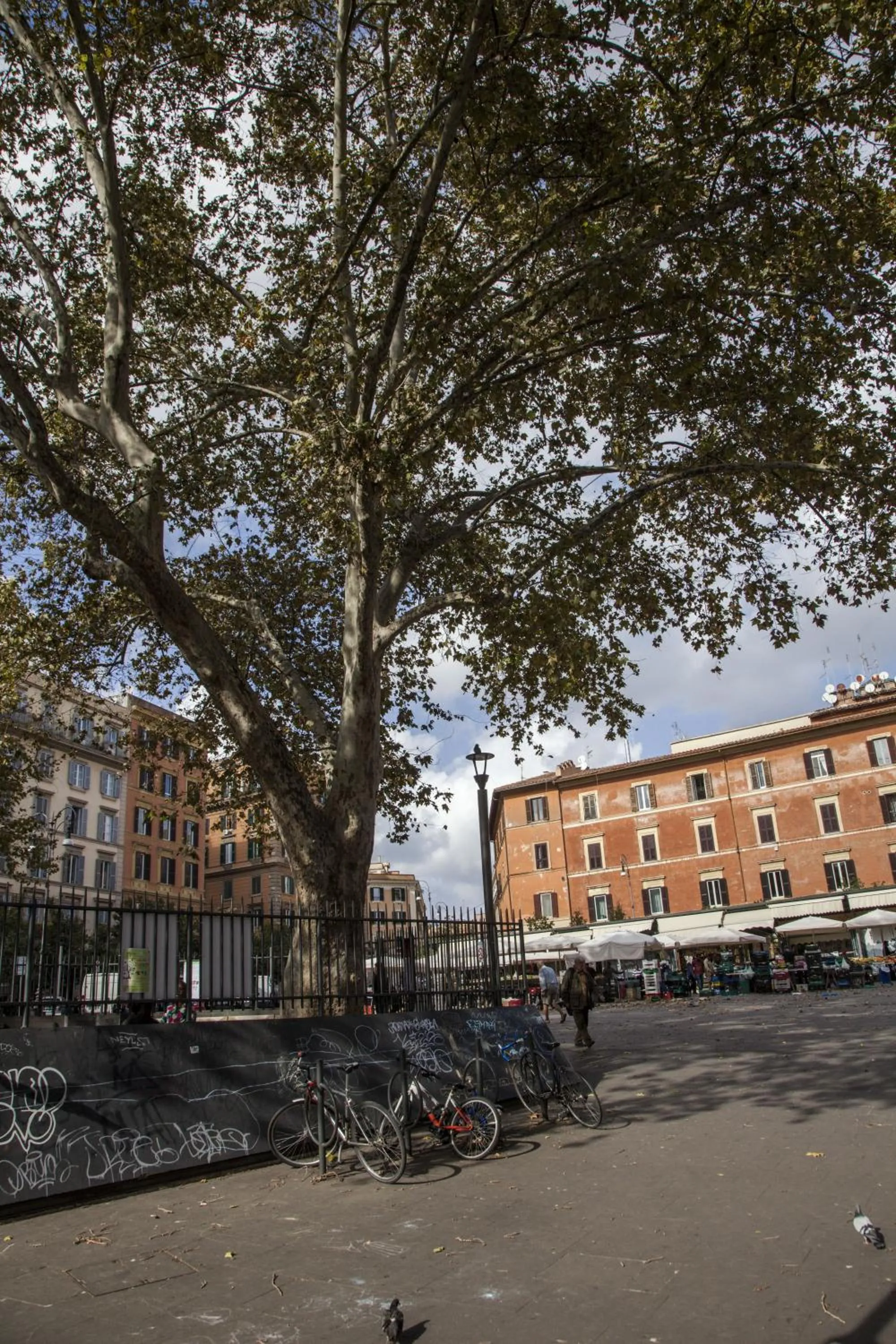 Neighbourhood in Imperiale Top