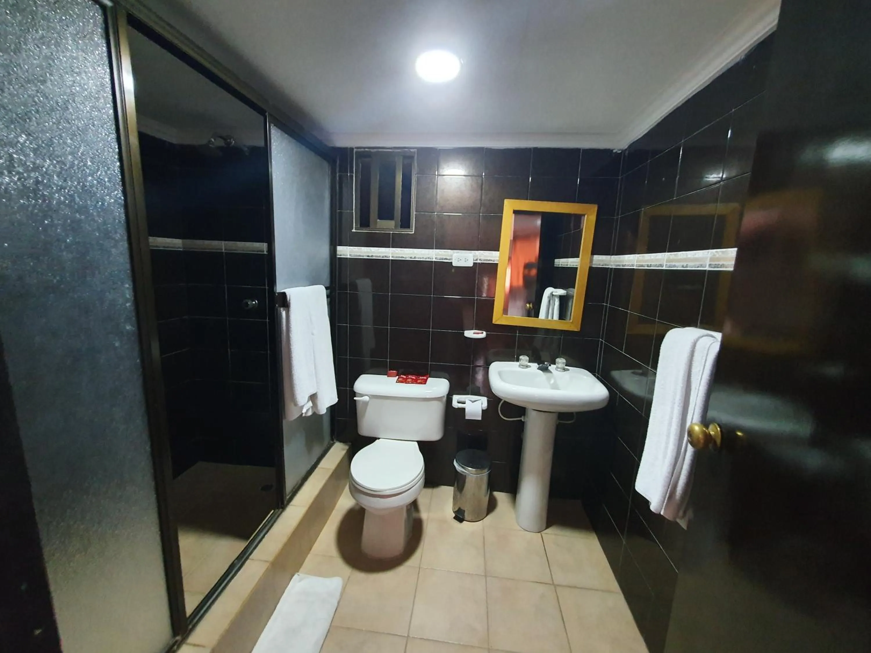 Bathroom in Hotel Puerta de Oro